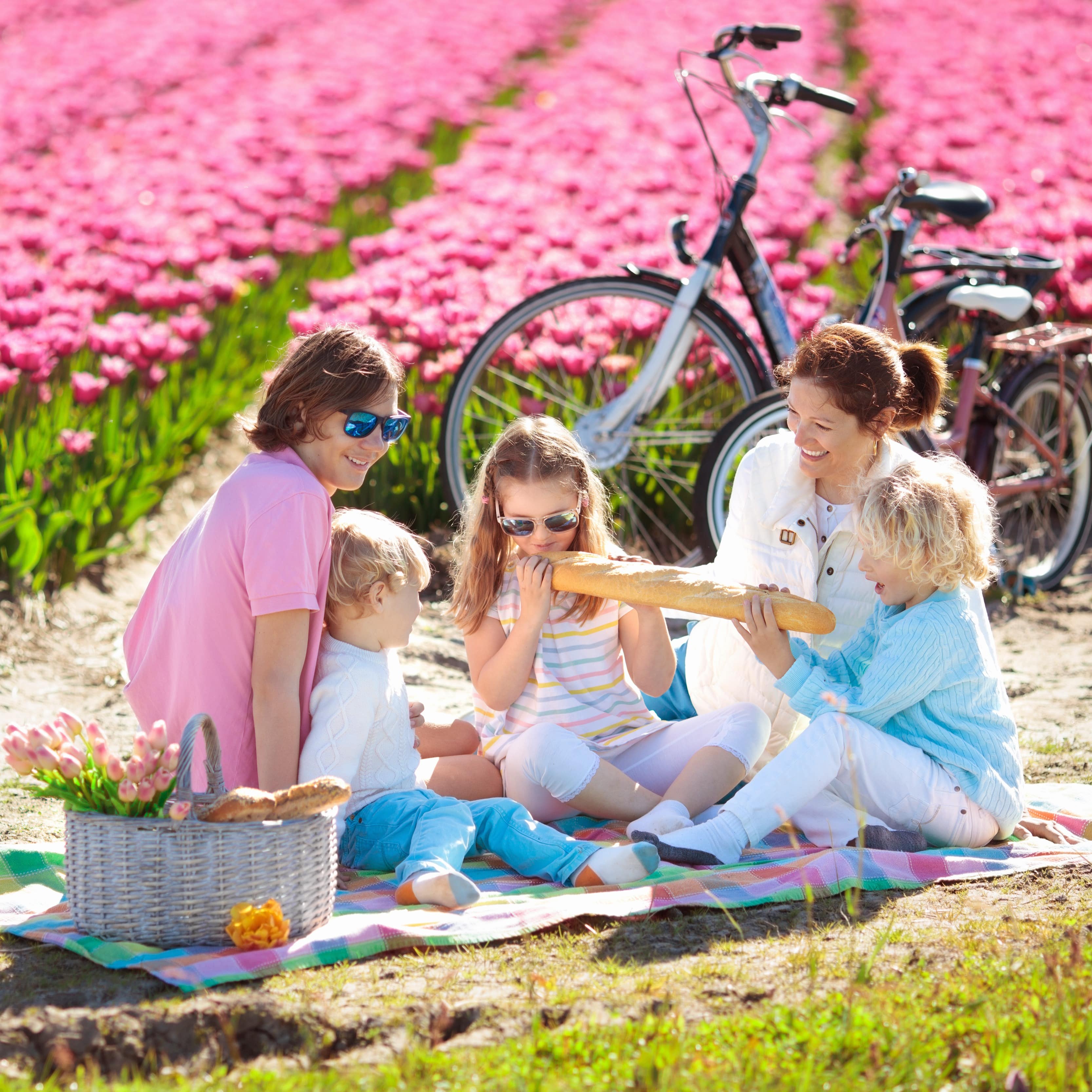 Eine Familie picknickt vor einem Tulpenfeld