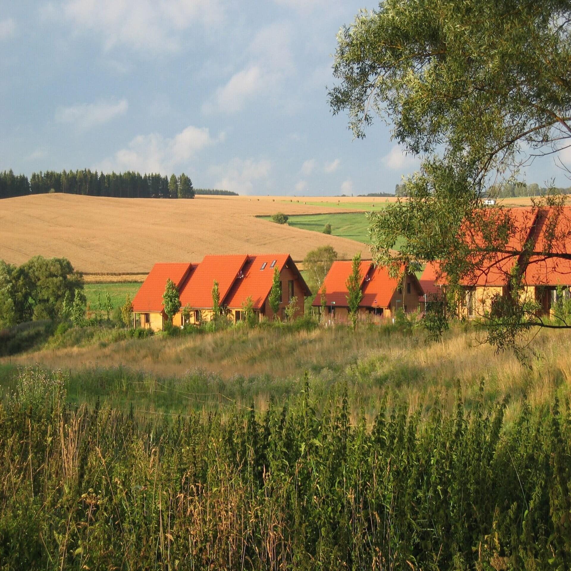 Mehrere sandfarbene Häuser mit roten Dächern in ländlicher Umgebung im Harz. 