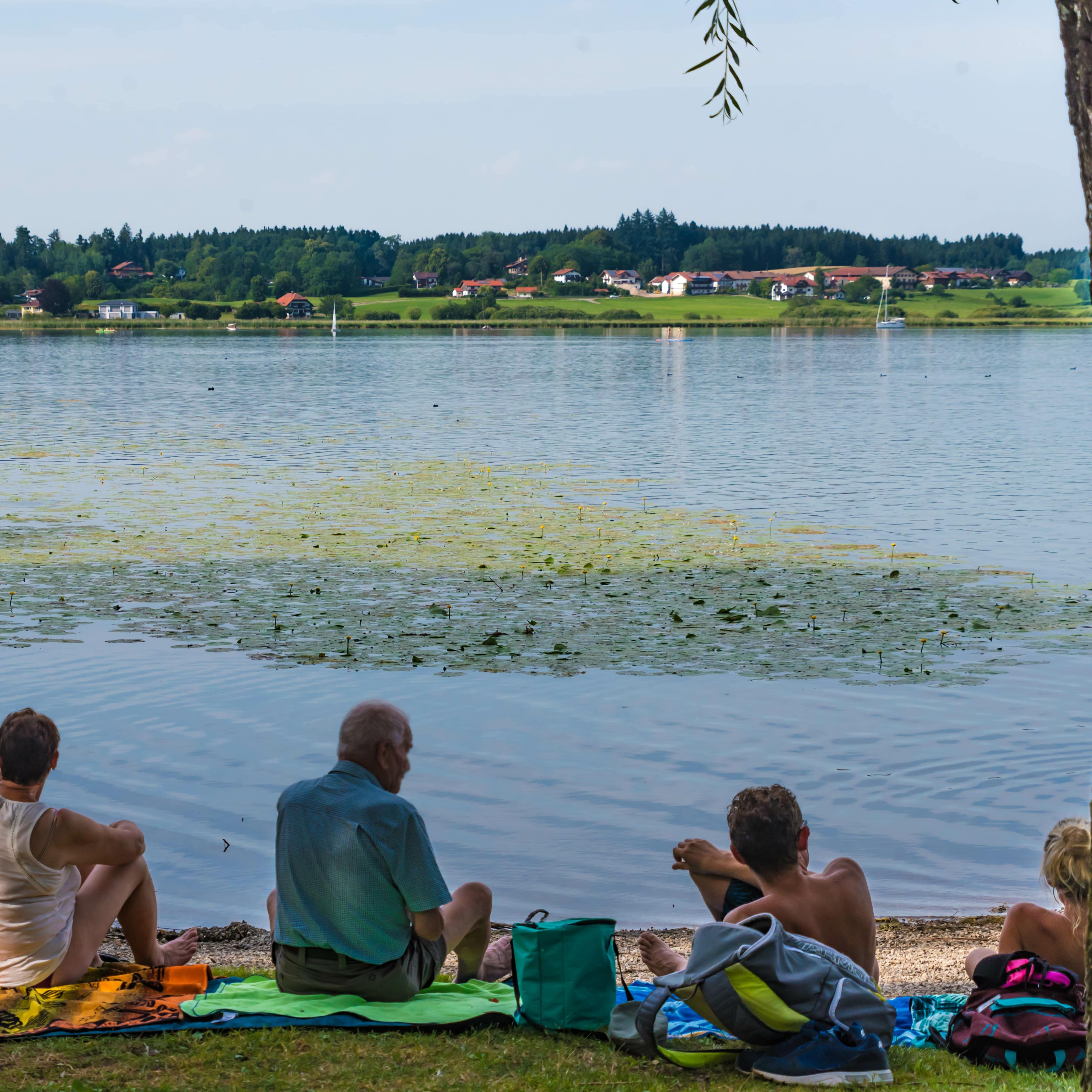Rückenansicht: 4-köpfige Familie sitzt auf Handtüchern am Ufer des Chiemsees