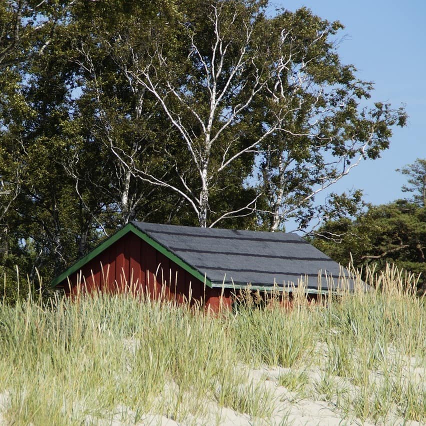 Im Windschatten der Dünen liegen in Henne Strand viele der dänischen Holzhäuser.