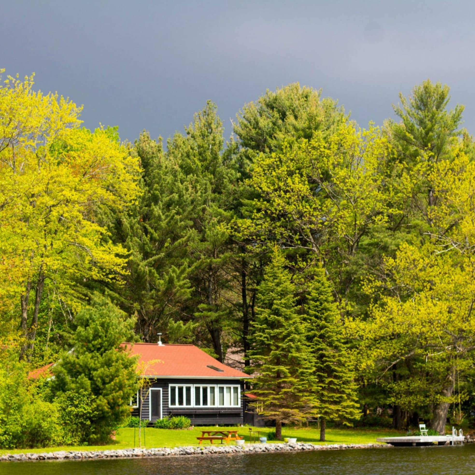 Holzbungalow direkt am See umgeben vom Bäumen