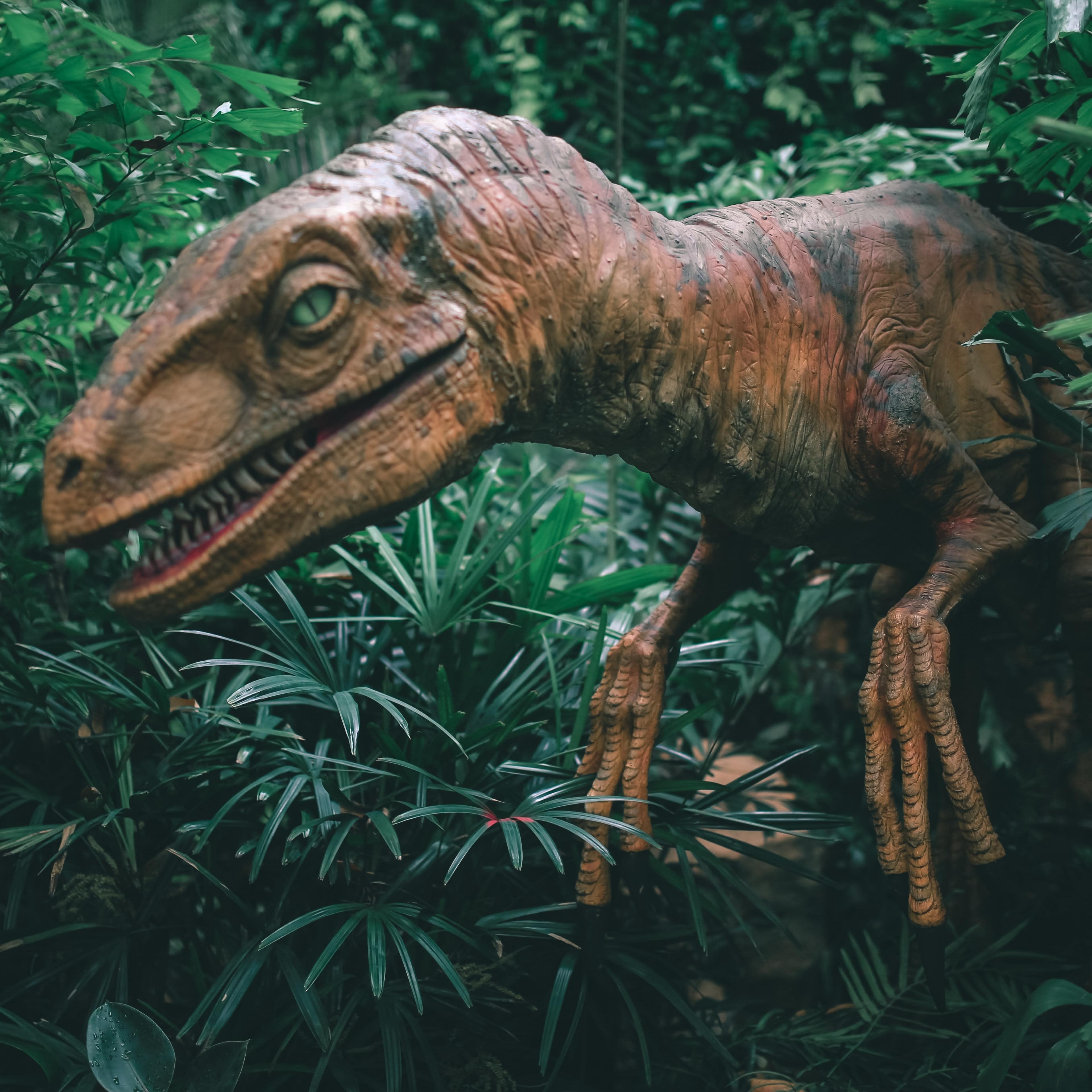 Eine Dinosauriernachbildung