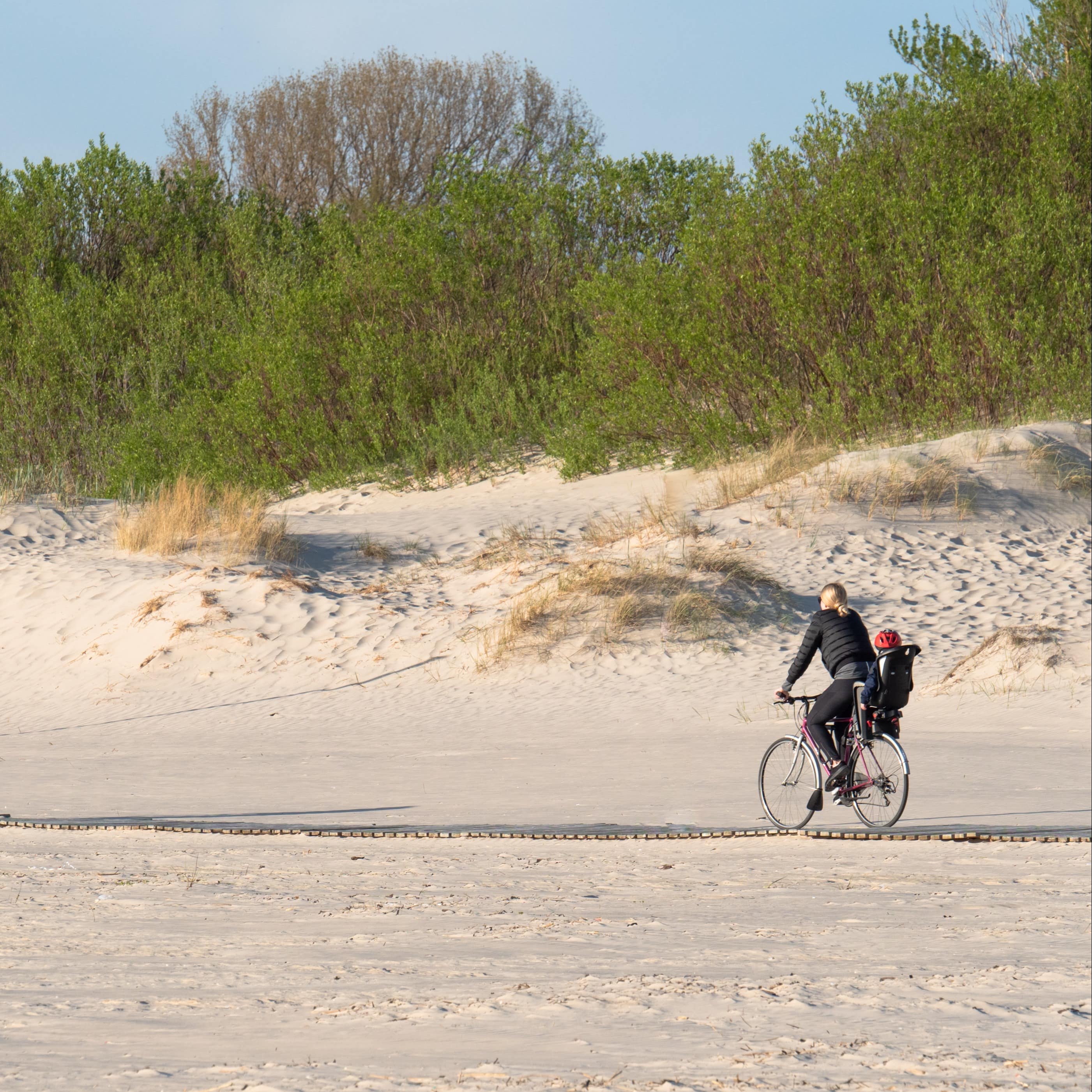 Eltern auf Fahrrädern fahren einen Holzweg am Strand entlang, die Mutter hat ein Kleinkind im Kindersitz.