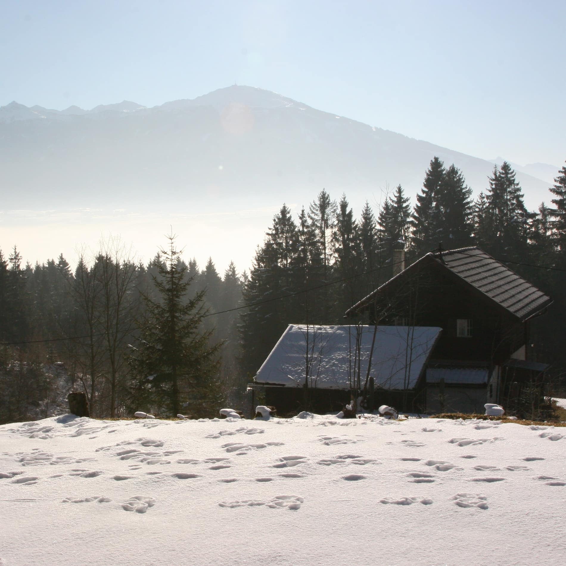 In einer schneebedeckten Lichtung steht ein Häuschen im Wald, über den Baumwipfeln ist in der Ferne eine Bergkuppe erkennbar