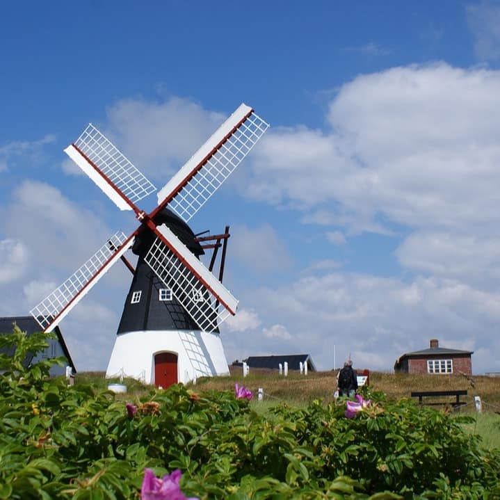 Blick auf eine Windmühle und Häuser im Grünen auf der Nordseeinsel Römö.