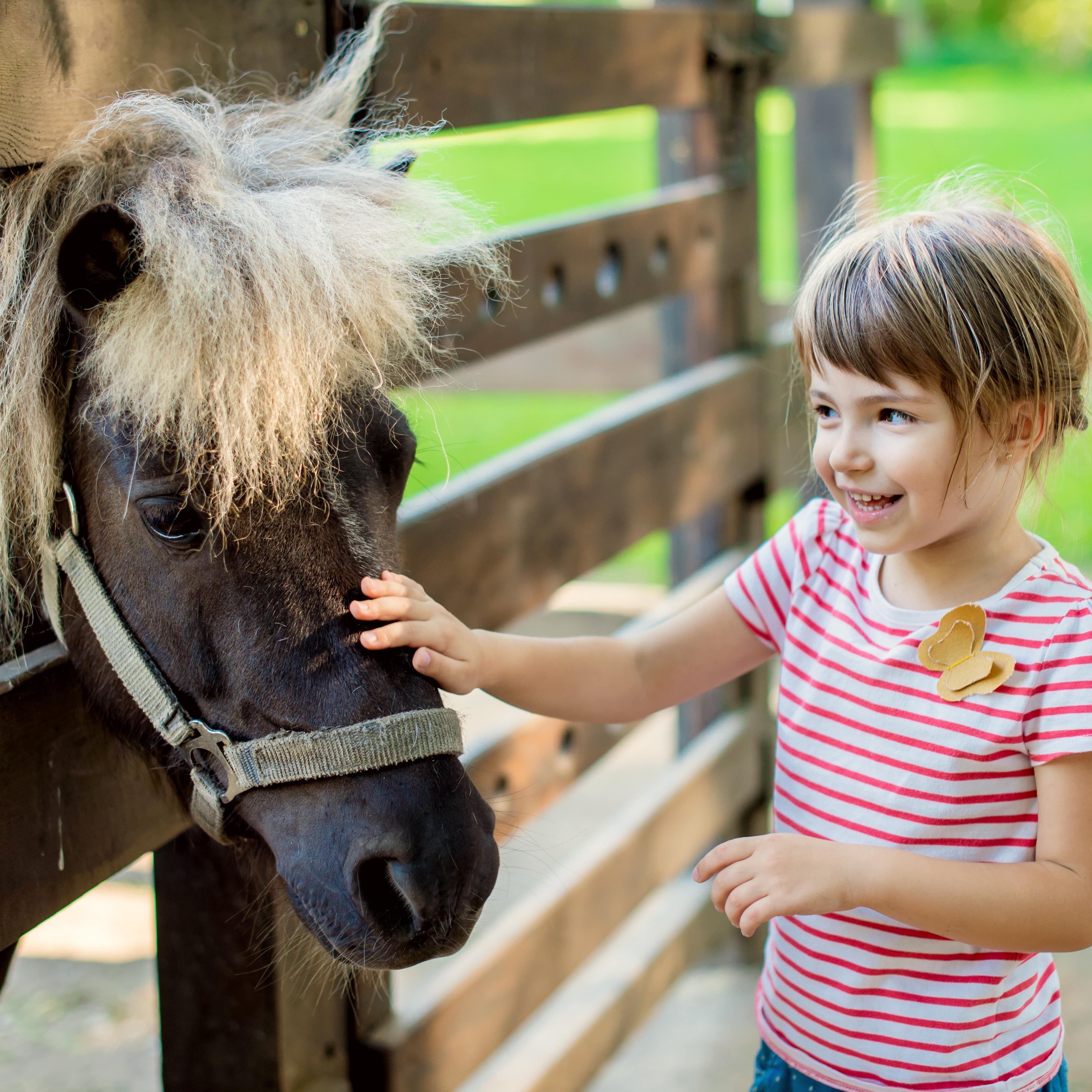 Ein kleines Mädchen im weiß-rot gestreiftem T-Shirt streichelt die Nase eines dunkelbraunen Ponys.