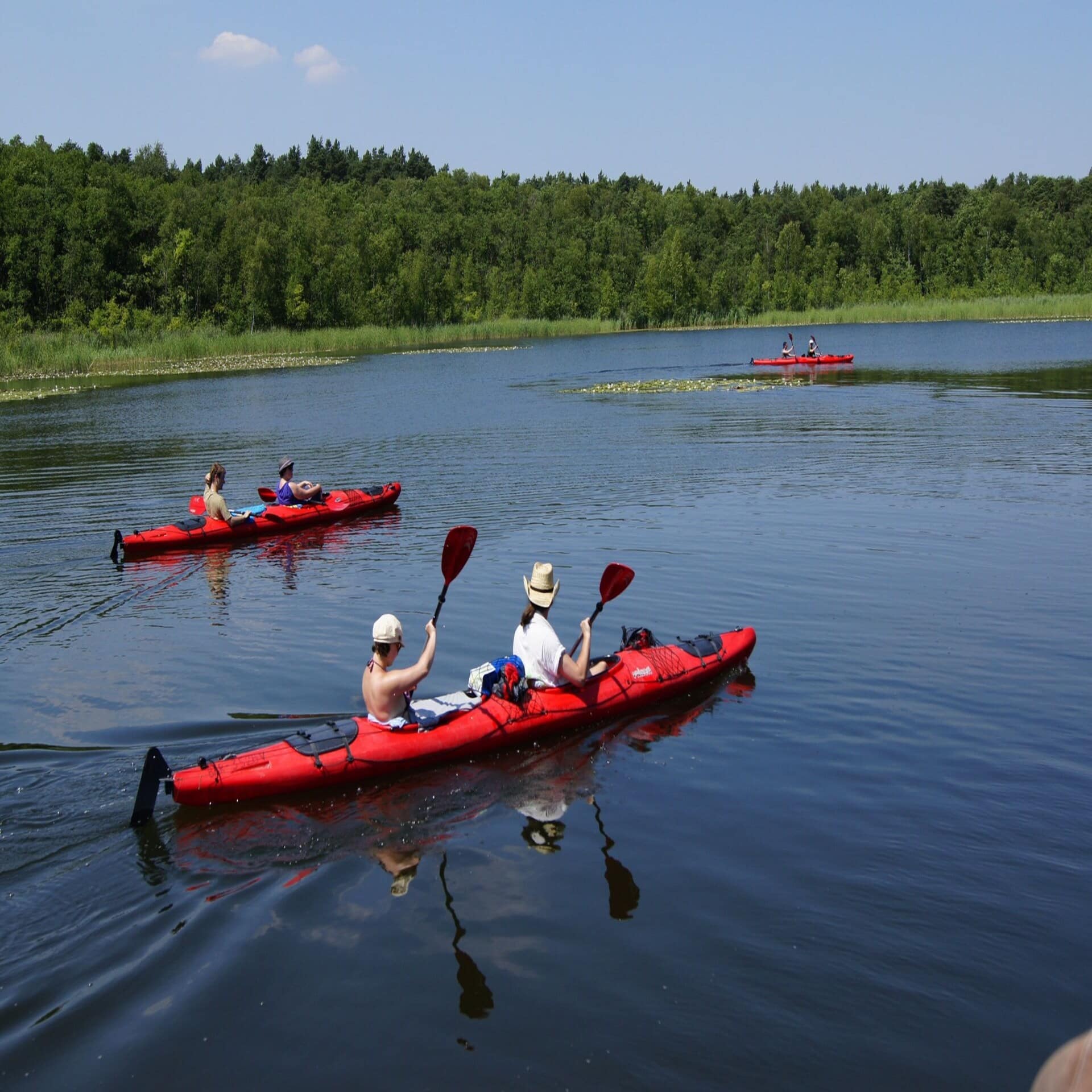 3 rote Kanus in dem jeweils 2 Personen sitzen auf einem See. Im Hintergrund Wald.
