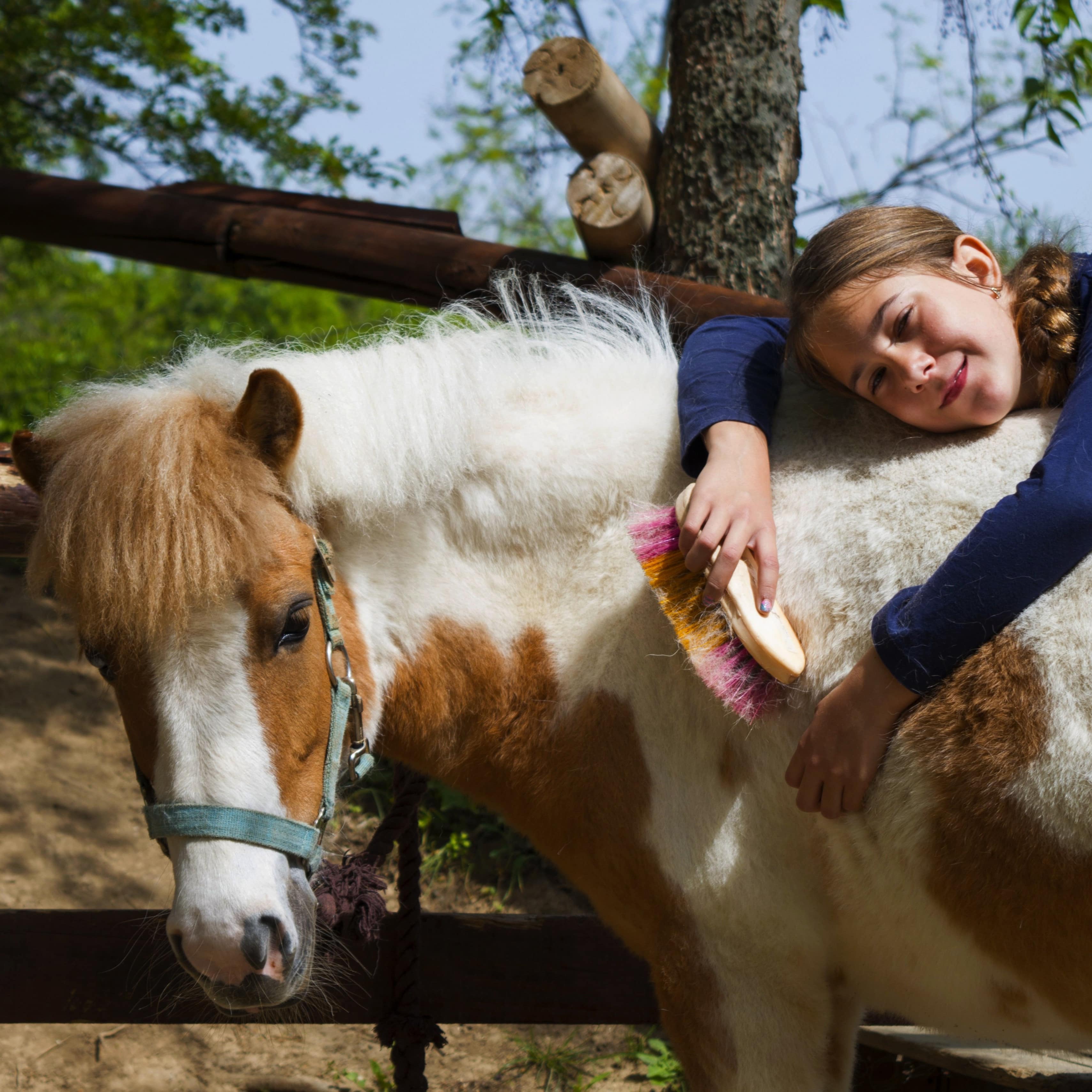 Ein Mädchen und ein Pony