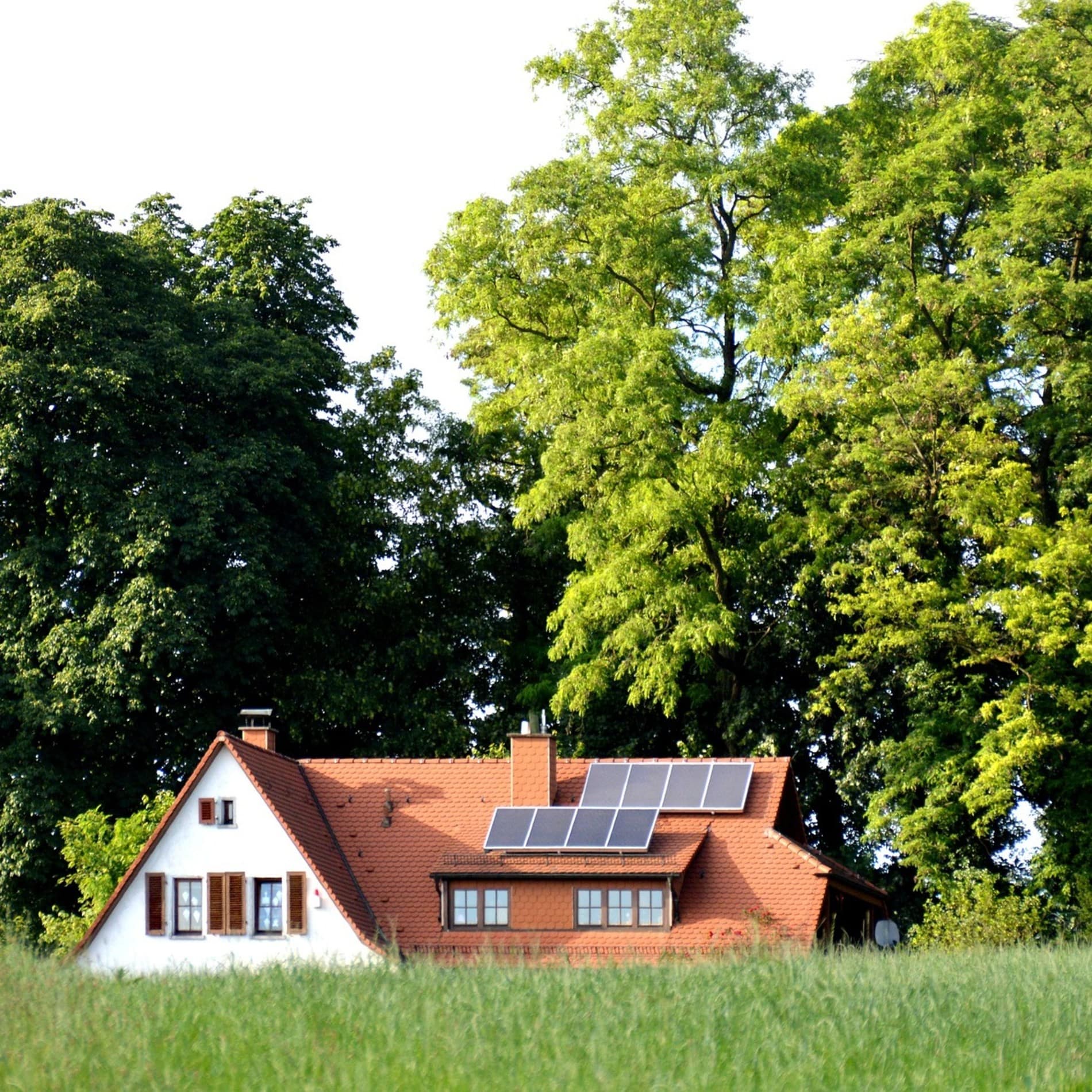 Bungalow in Thüringen umgeben von einer Wiese und Bäumen