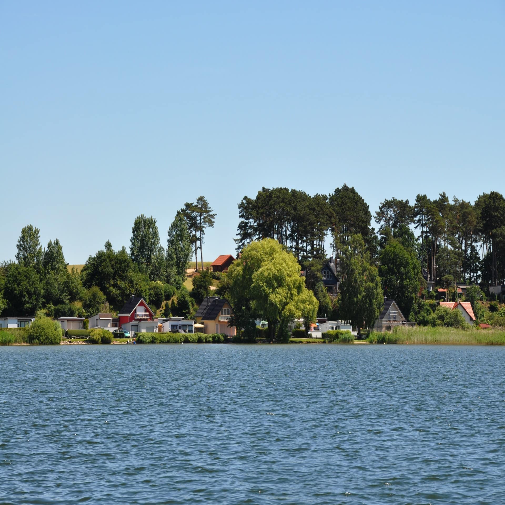 Blick vom Wasser auf das Seeufer an dem Häuser im Grünen stehen. 