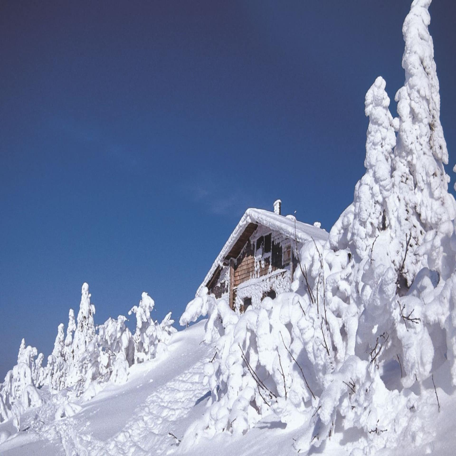 Blick von schräg unten auf eine verschneite Hütte auf einem tief verschneiten Berg.