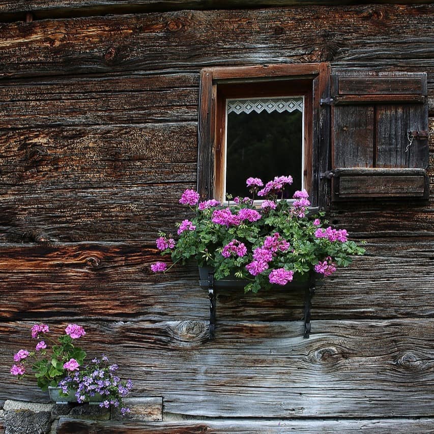 Nahaufnahme der Holzfassade einer Hütte im Kleinwalsertal, Blumen blühen in Kästen vor den Fenstern. 