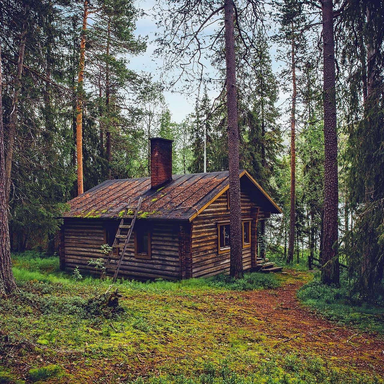 Eine Holzhütte in Alleinlage im Wald