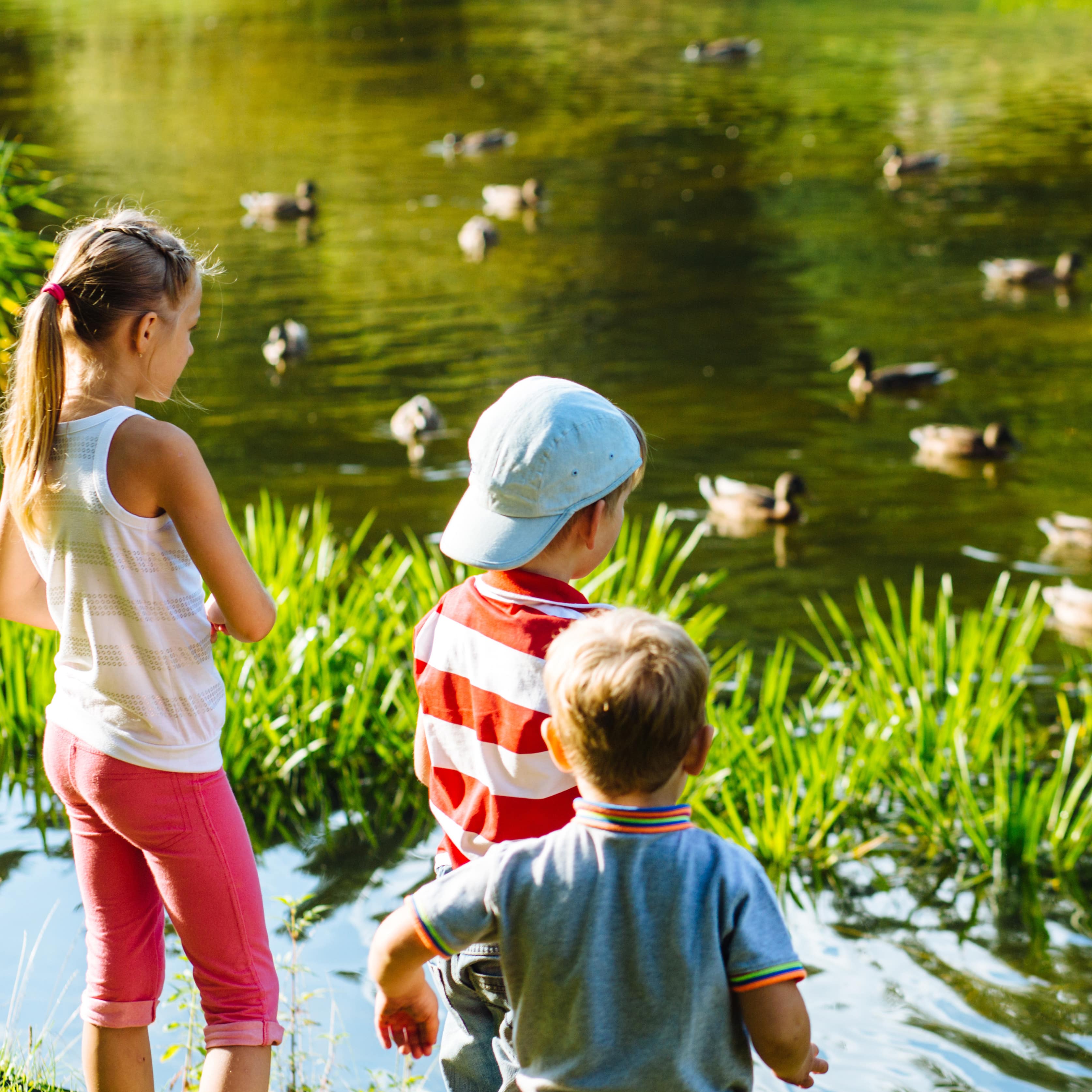 Kinder an einem See mit Enten
