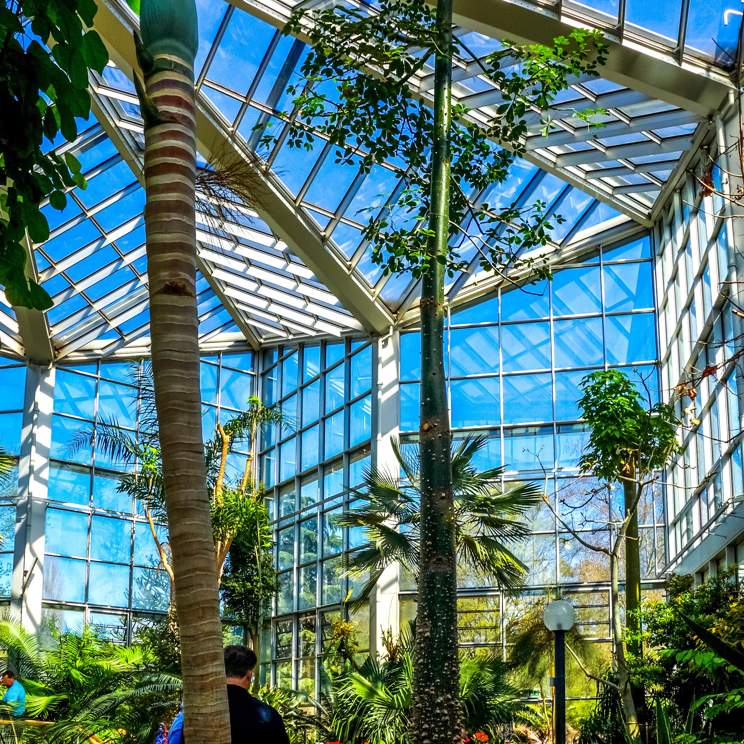 Im Palmengarten in Frankfurt, einige Besucher sind zu sehen.