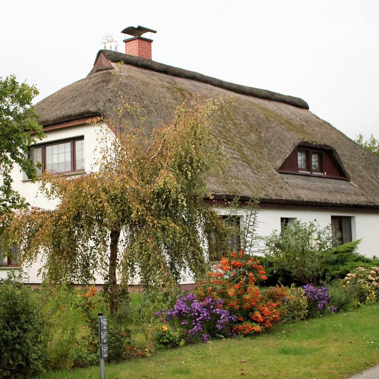 Ein Haus mit Reetdach und Garten auf der Insel Hiddensee