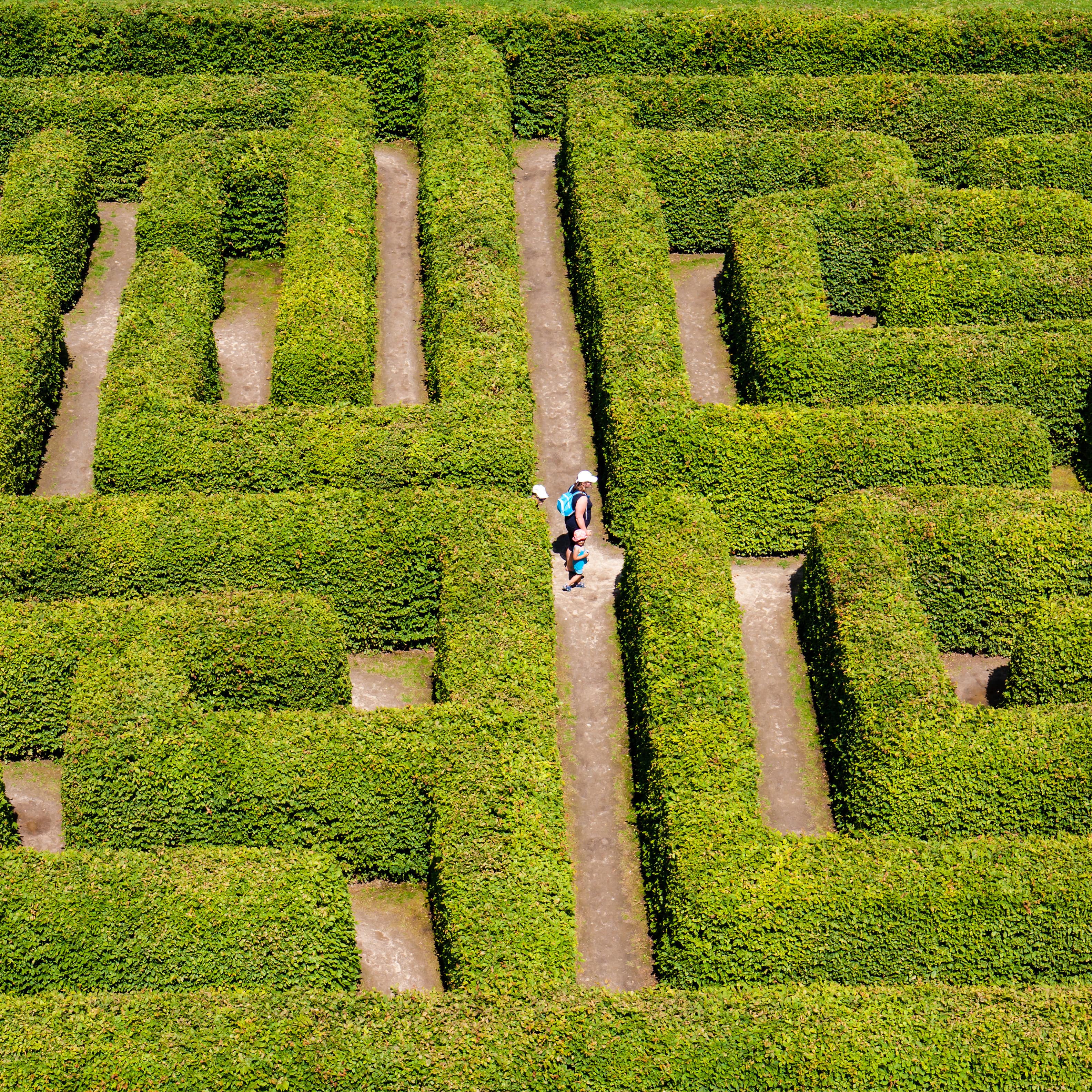 Blick von oben auf ein Heckenlabyrinth: Erwachsener und 2 Kinder in Sommerkleidung laufen durch den Irrgarten.