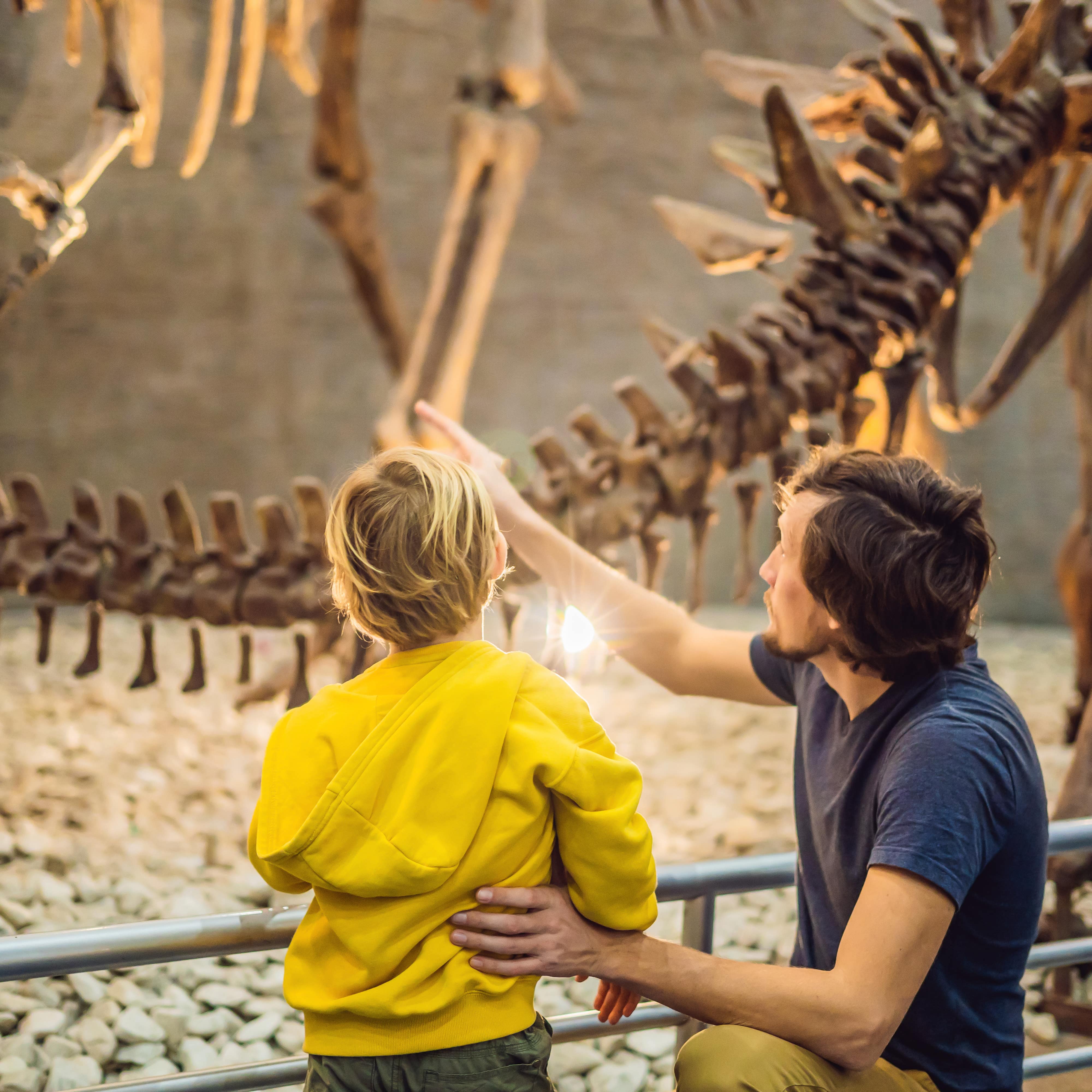 Ein Vater und sein Sohn bestaunen Dinosaurierskelette