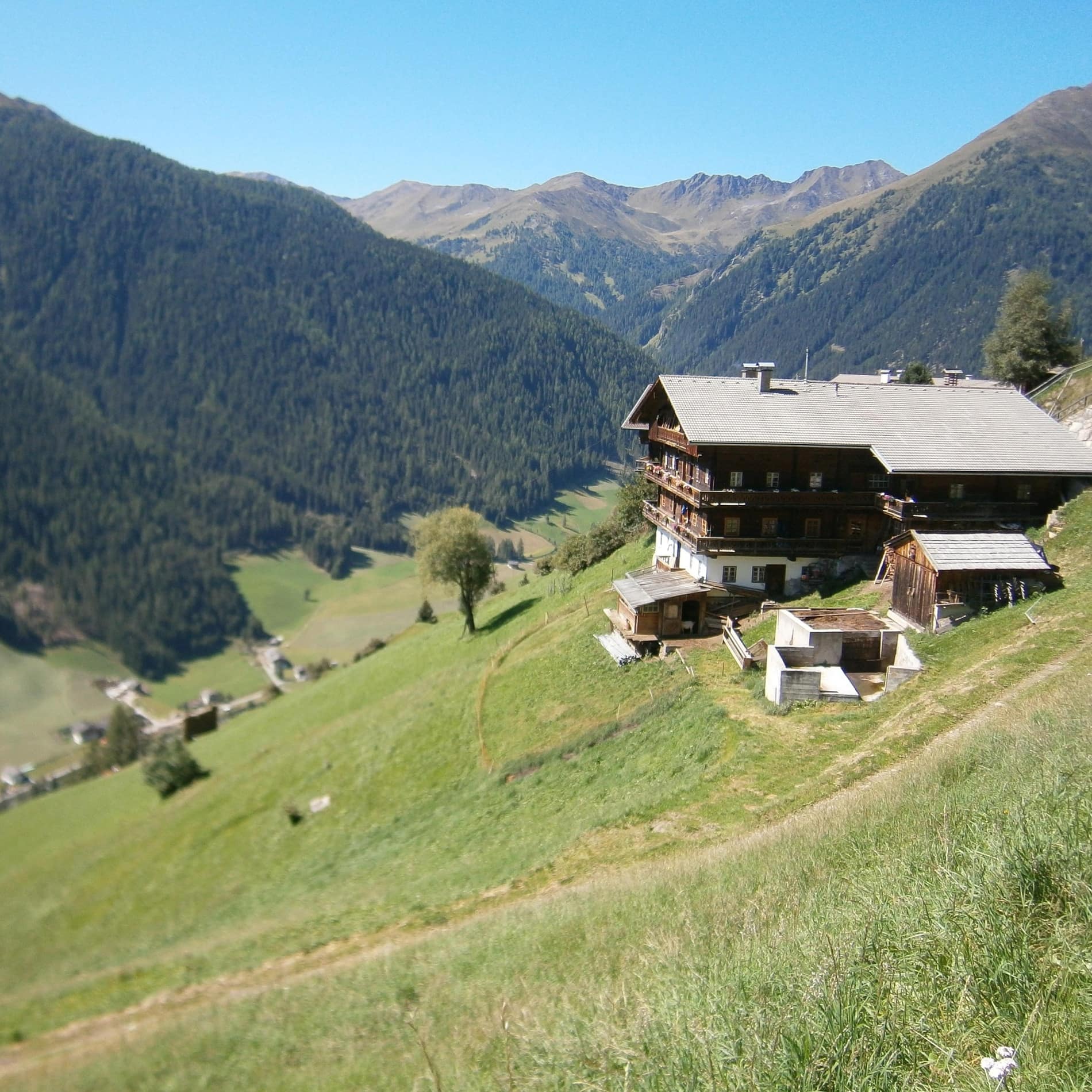 An einem steil abfallenden, grasbewachsenen Hang steht ein traditionelles Holzhaus, das zugleich als Bauernhof und als Ferienhaus in Tirol dient