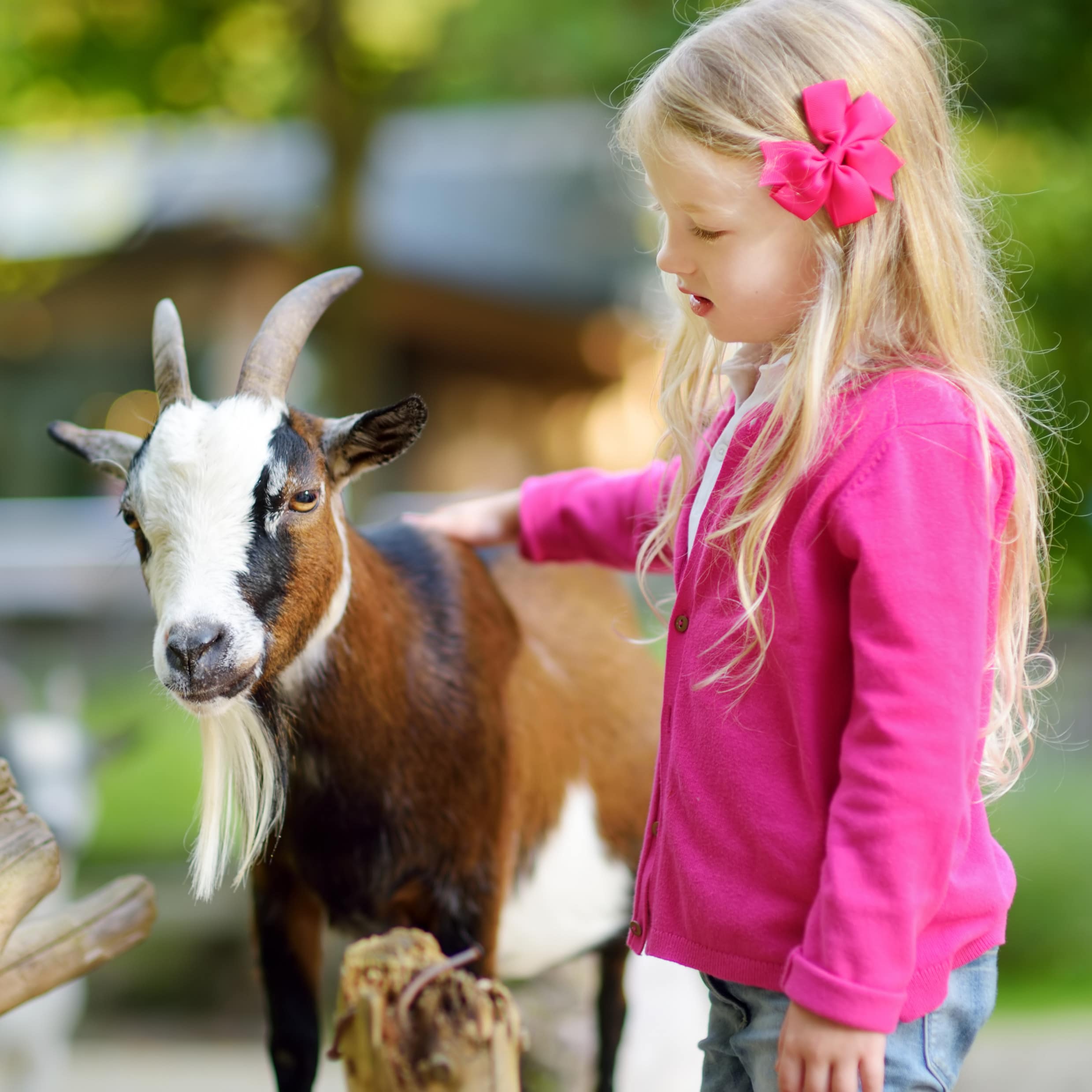 Ein blondes Mädchen mit pinker Haarschleife und pinkem Top streichelt eine Ziege.