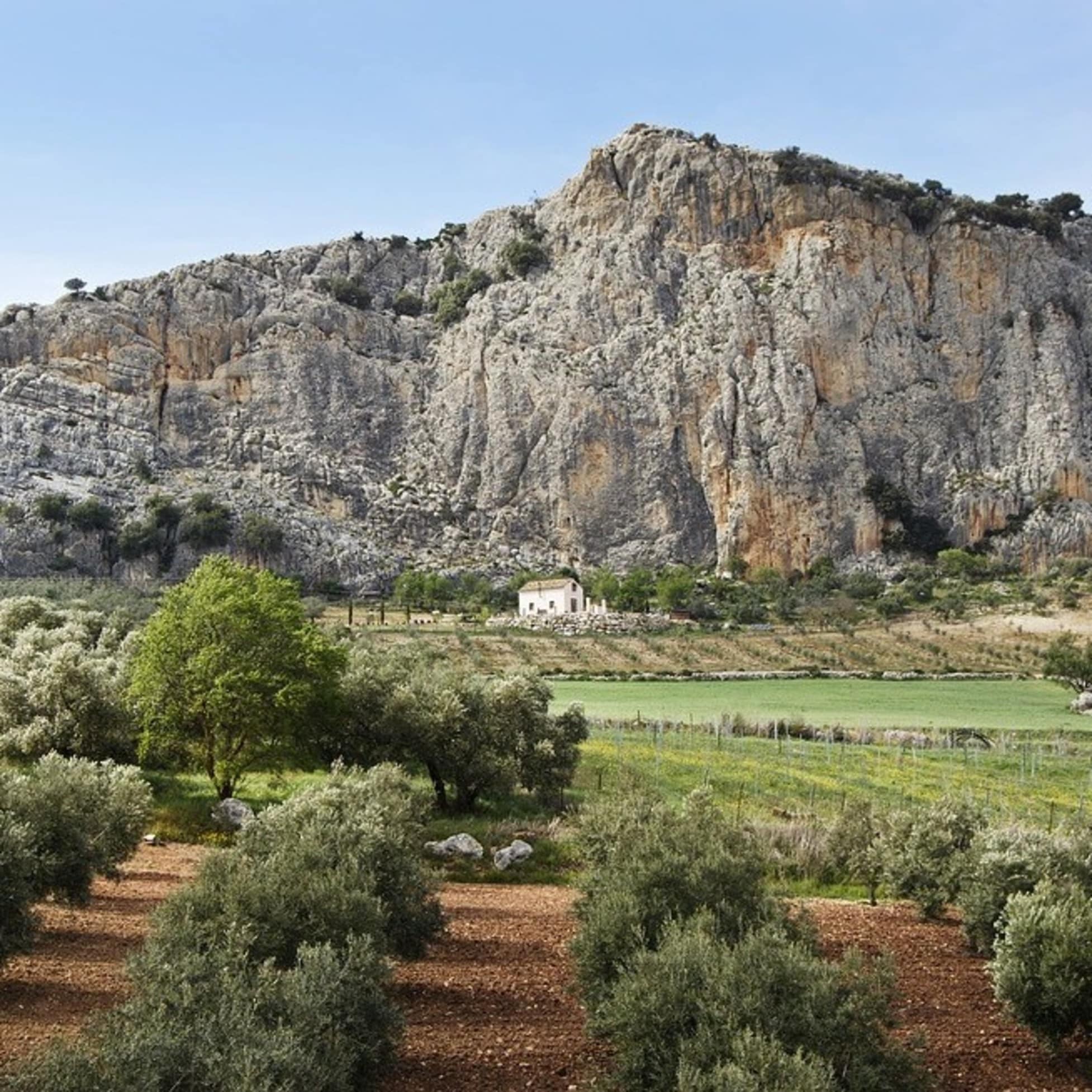 Finca auf Mallorca im Inland mit Berg im Hintergrund