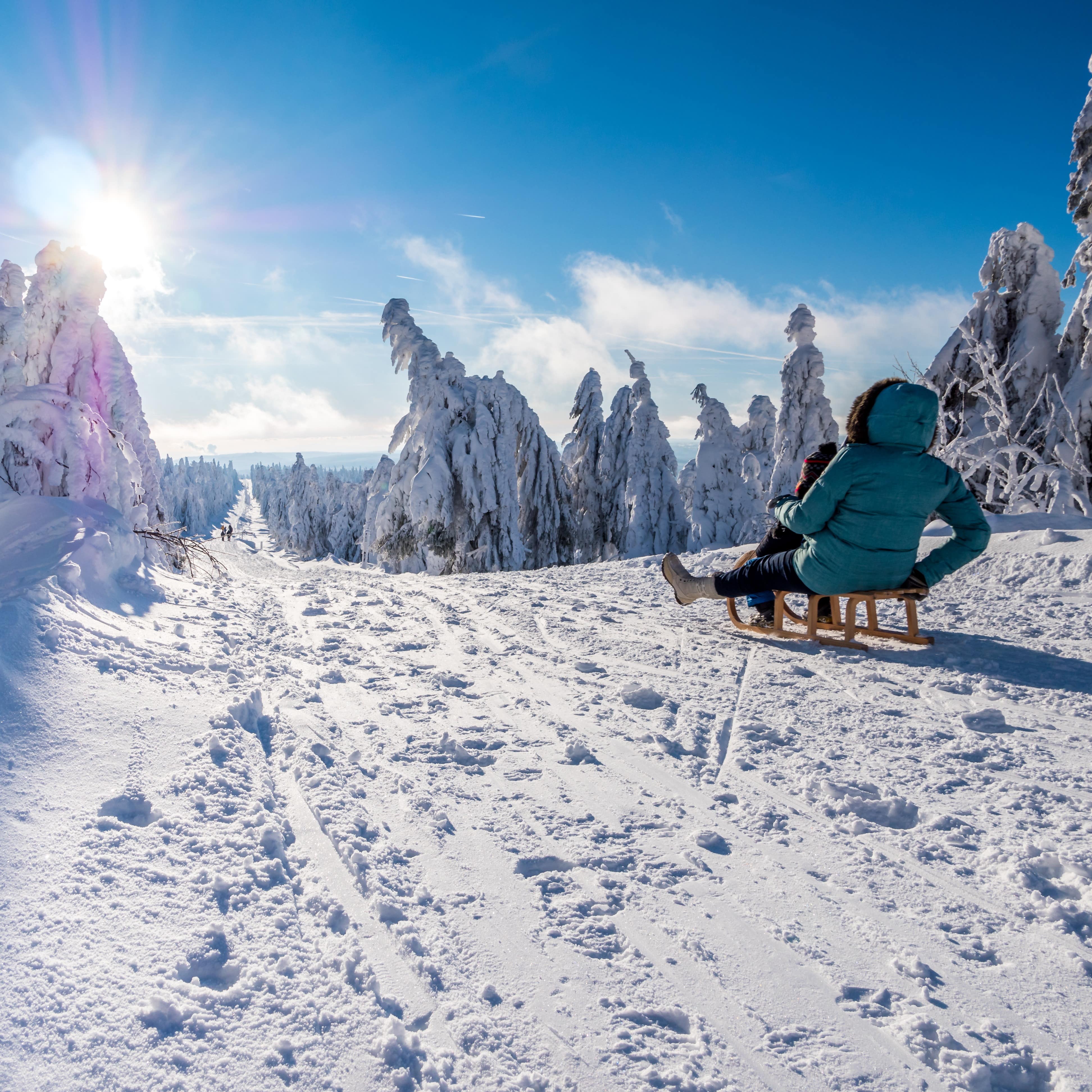 Rückenansicht: Mutter und Kind auf einem Holzschlitten im sonnigen und verschneiten Erzgebirge.