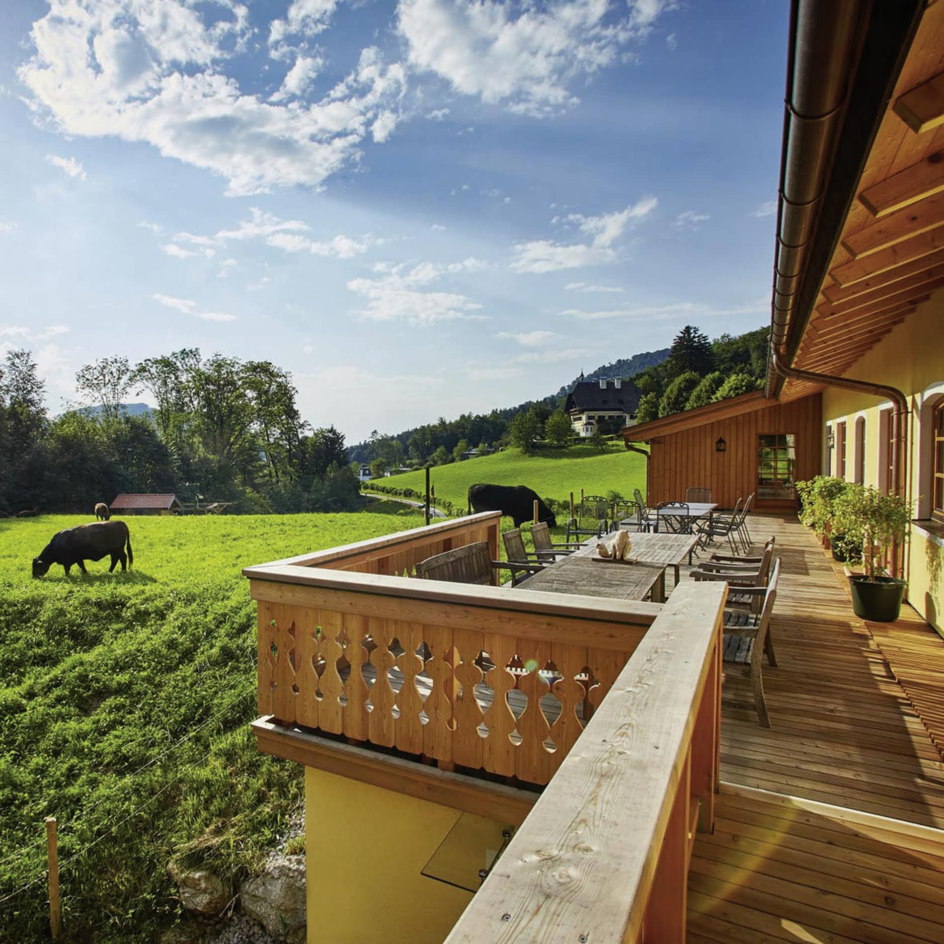 Die Terrasse der Ferienwohnung in einem Bauernhaus bei Salzburg bietet Sicht auf weidende Kühe auf grünen Wiesen