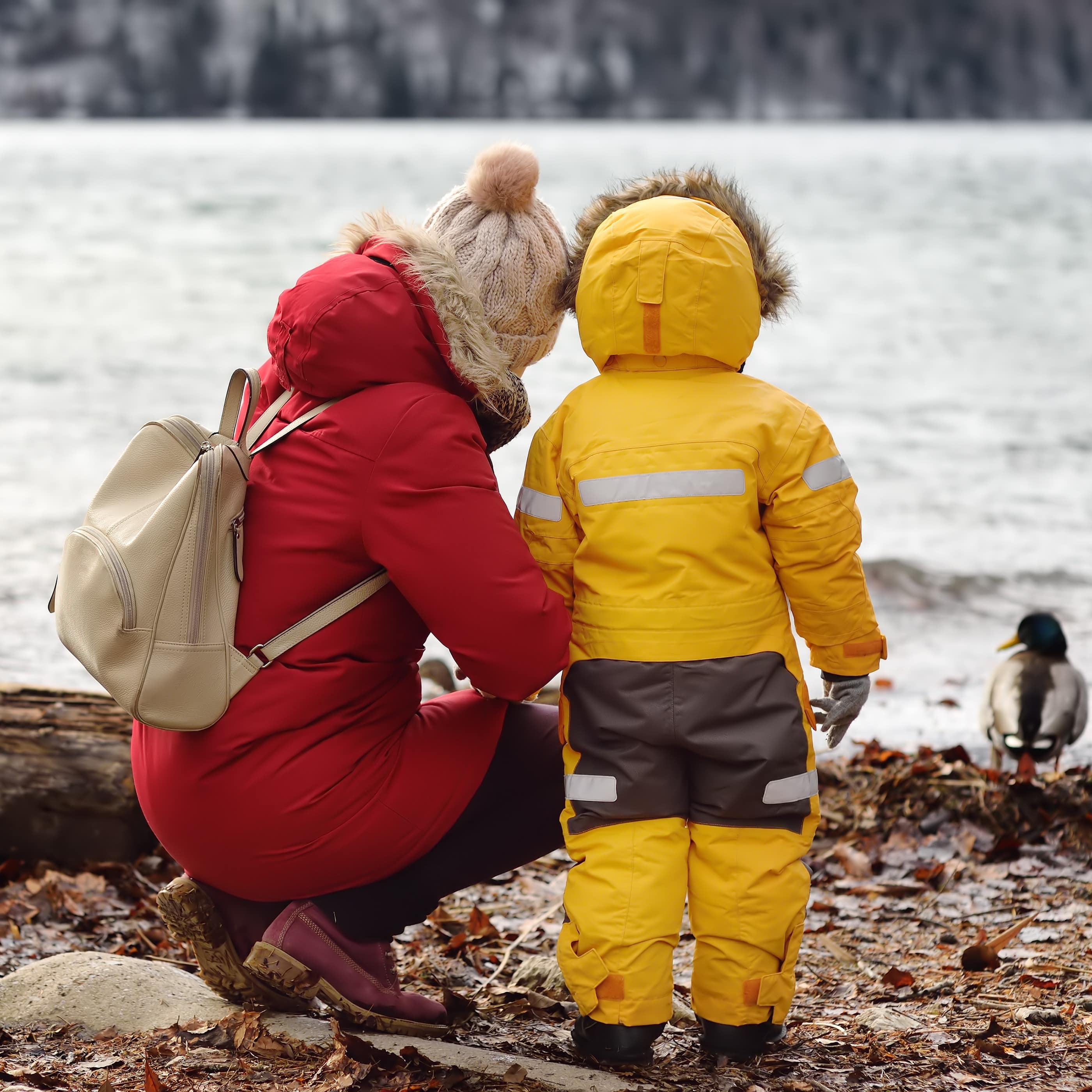 Rückenansicht: Mutter und Kind in warmer Kleidung schauen eine Ente am Wasser an. 