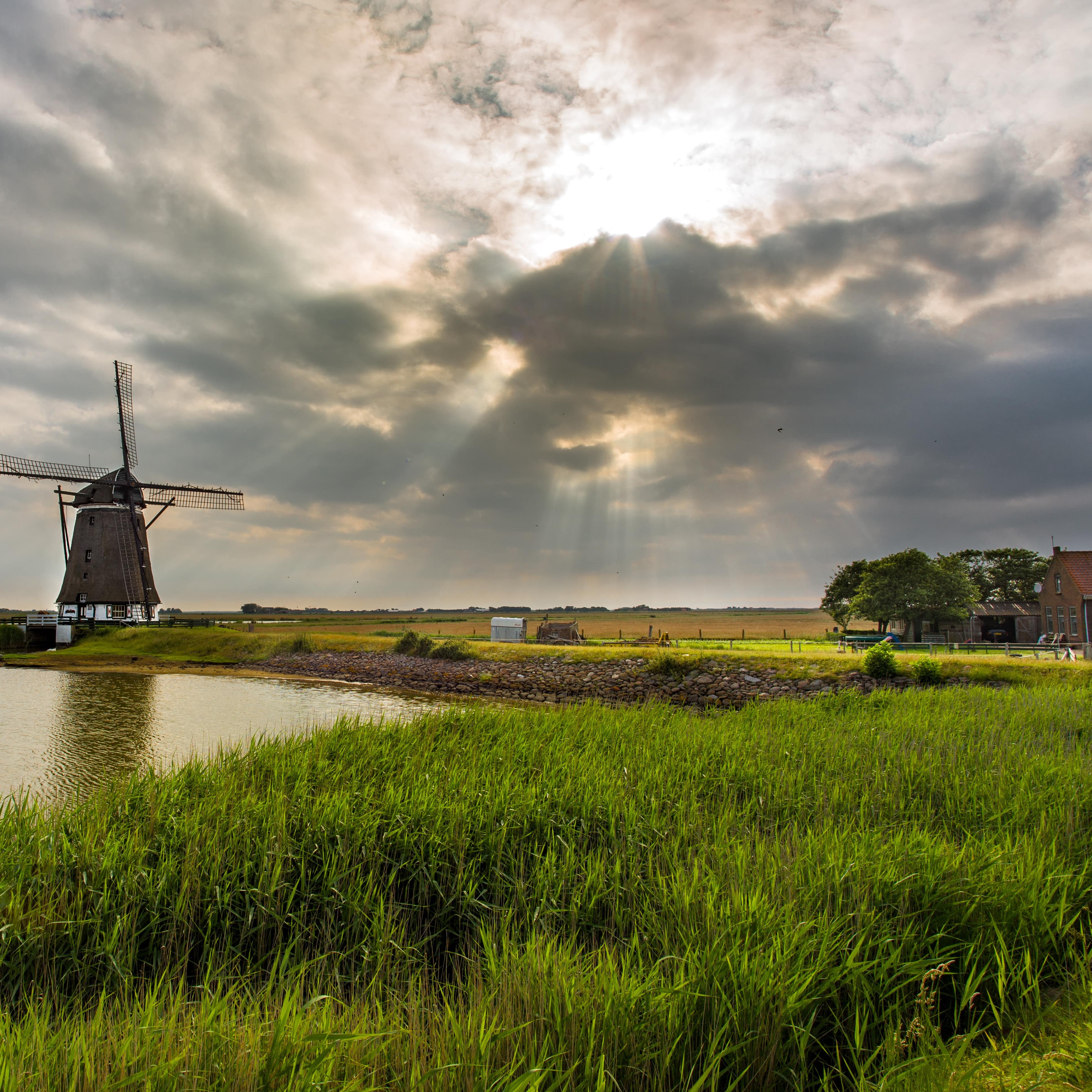 Ferienwohnungen in Domburg, Holland, in ländlicher Gegend, umgeben von einem See und einer Windmühle