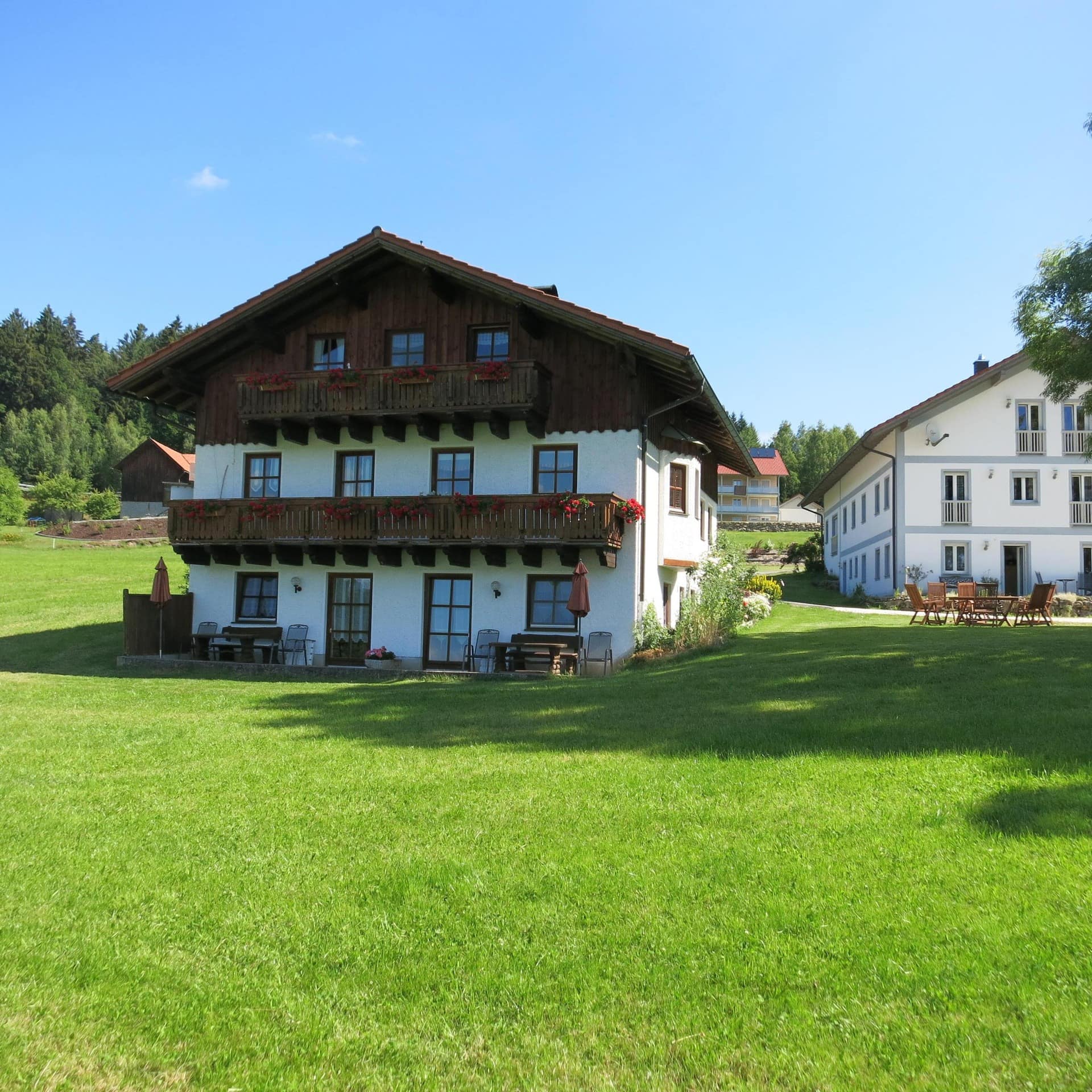 Zwei Bauernhäuser mit Ferienwohnungen in Bodenmais, umgeben von einer Wiese und Bäumen
