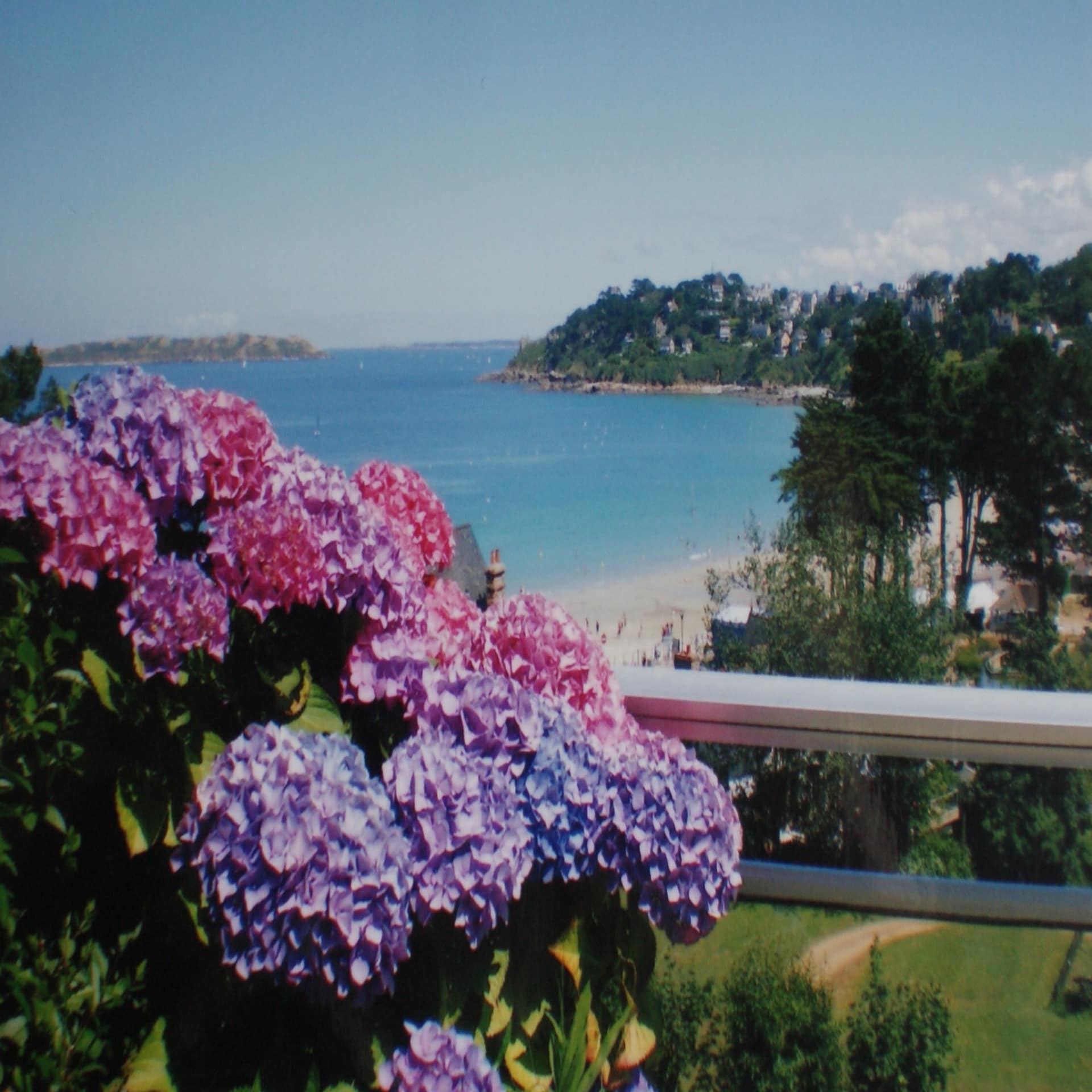 Balkon mit rosa und lila blühendem Busch sowie den von Bäumen umgebenen Strand und das Meer. 