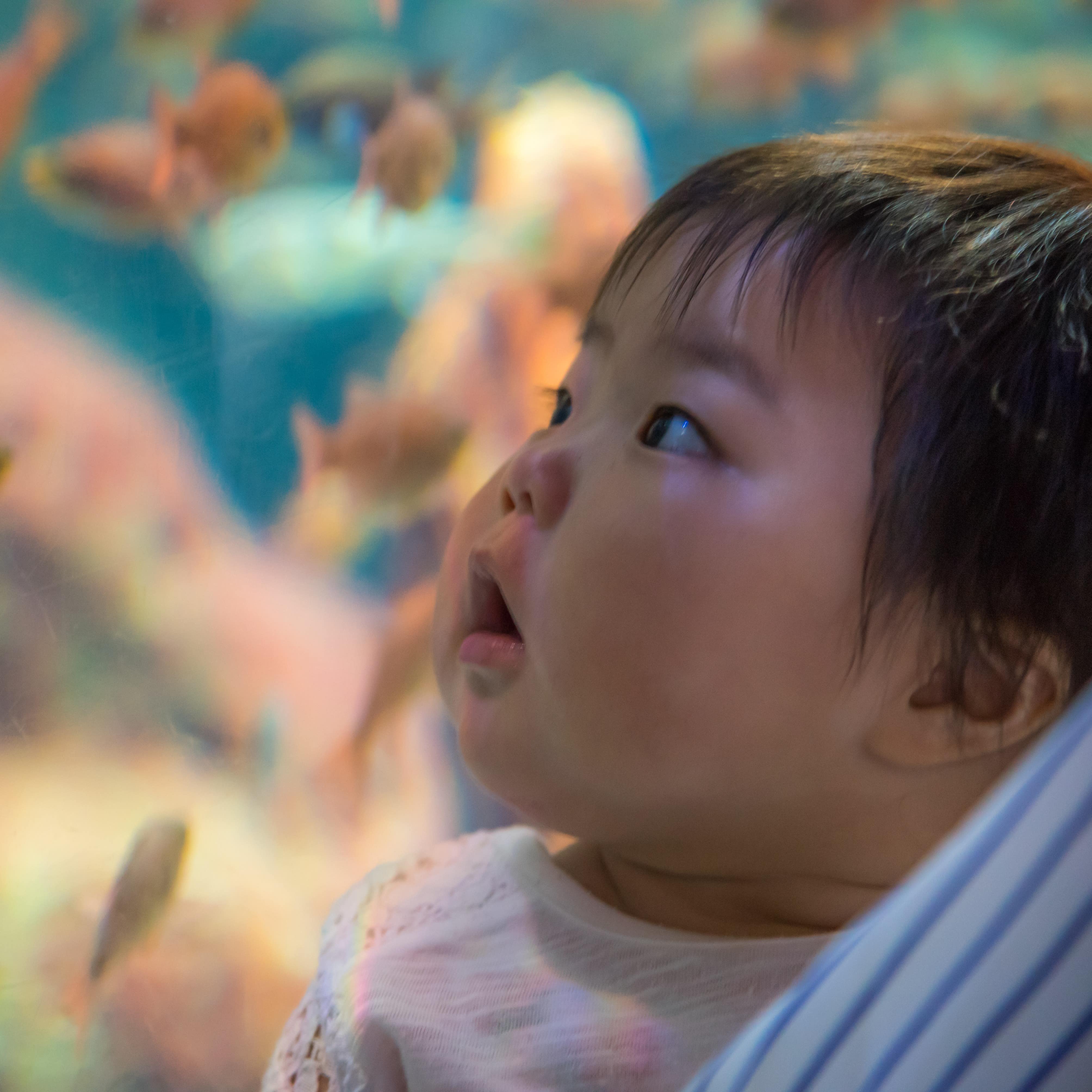 Ein Kind vor einem Aquarium mit Fischen