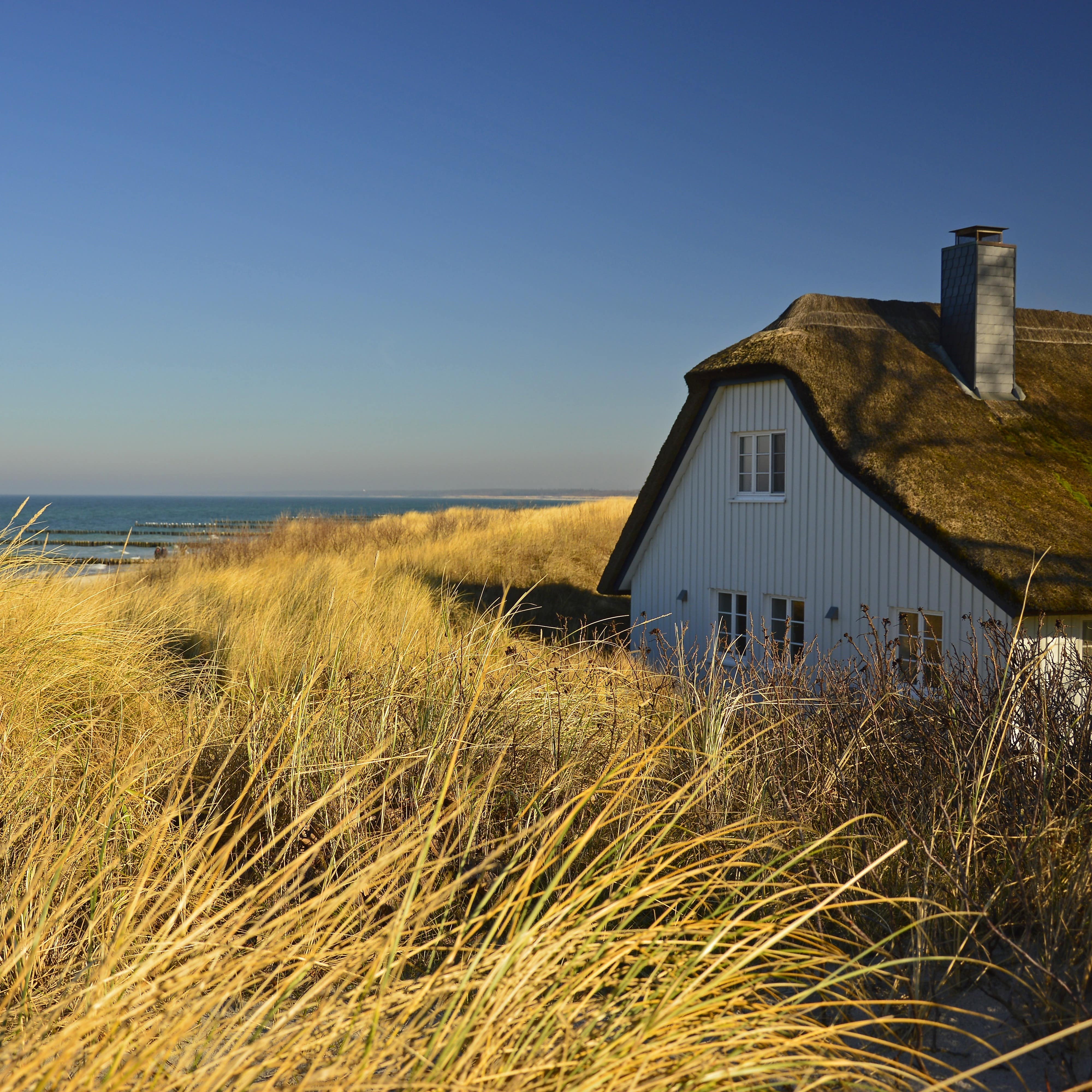 Ein Haus mit Reetdach in den Dünen am Strand