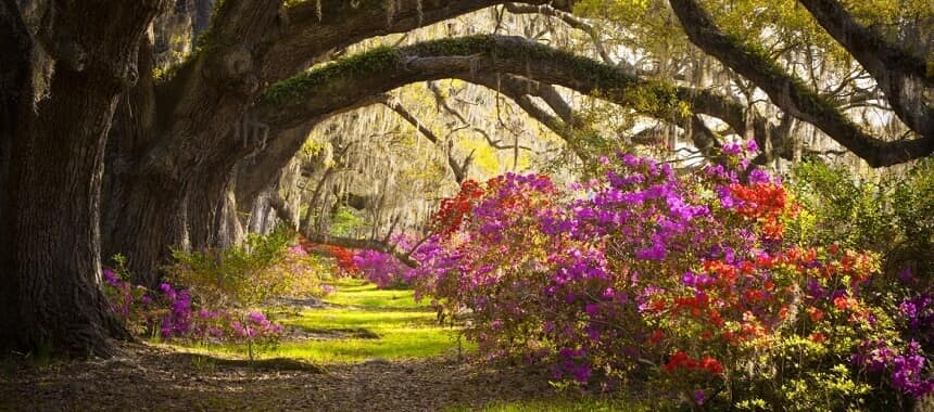 deep south - South Carolina