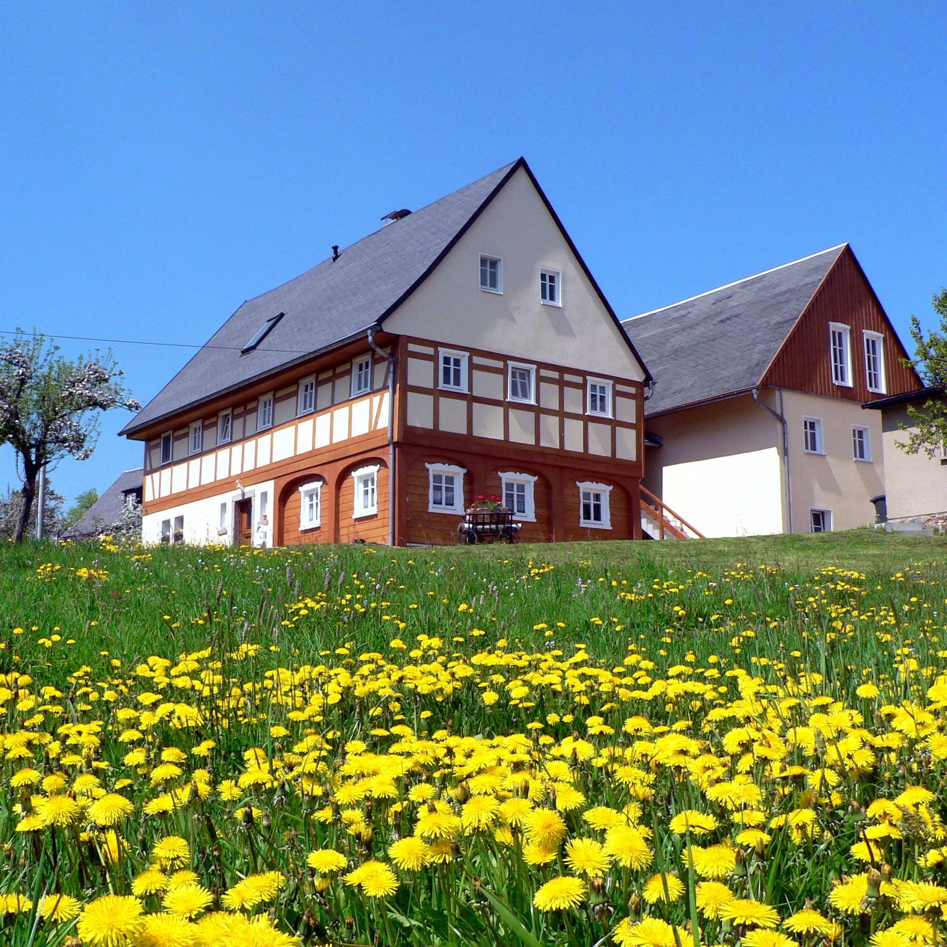 2 Häuser auf einer ländlichen Blumenwiese in der Oberlausitz.