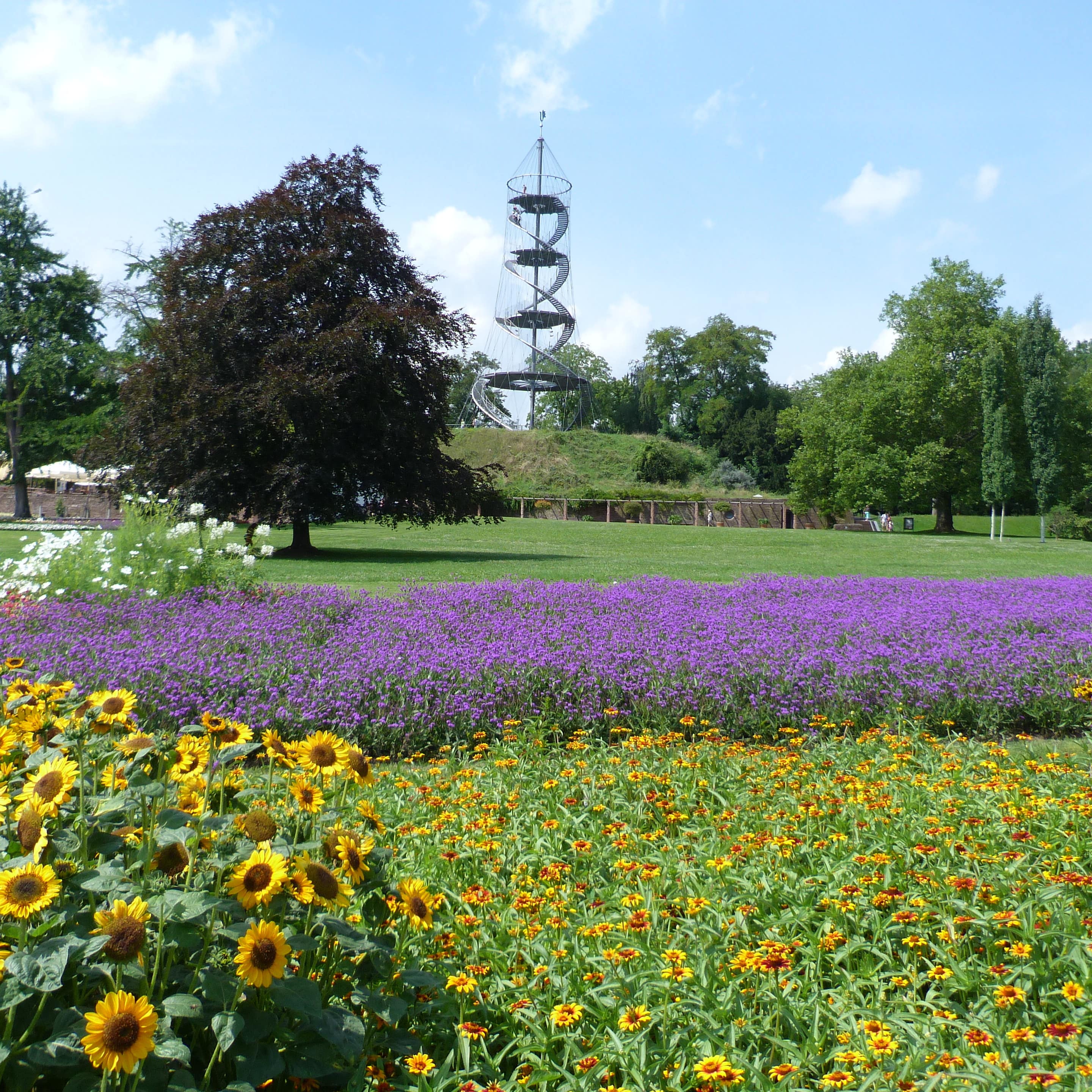 Bunte Blumen auf dem Killesberg, im Hintergrund der Aussichtsturm.
