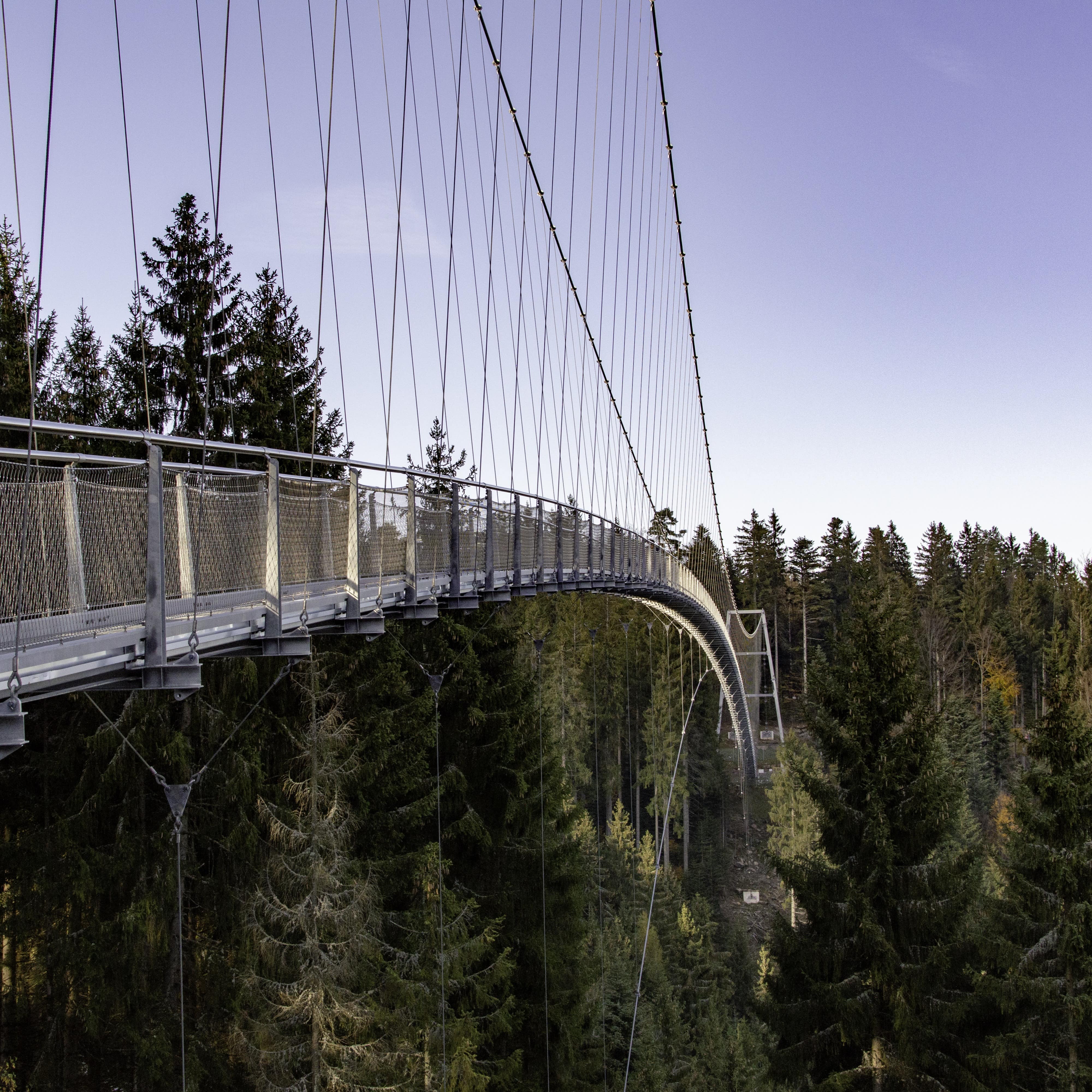 Die Hängebrücke Wildline in Bad Wildbach.
