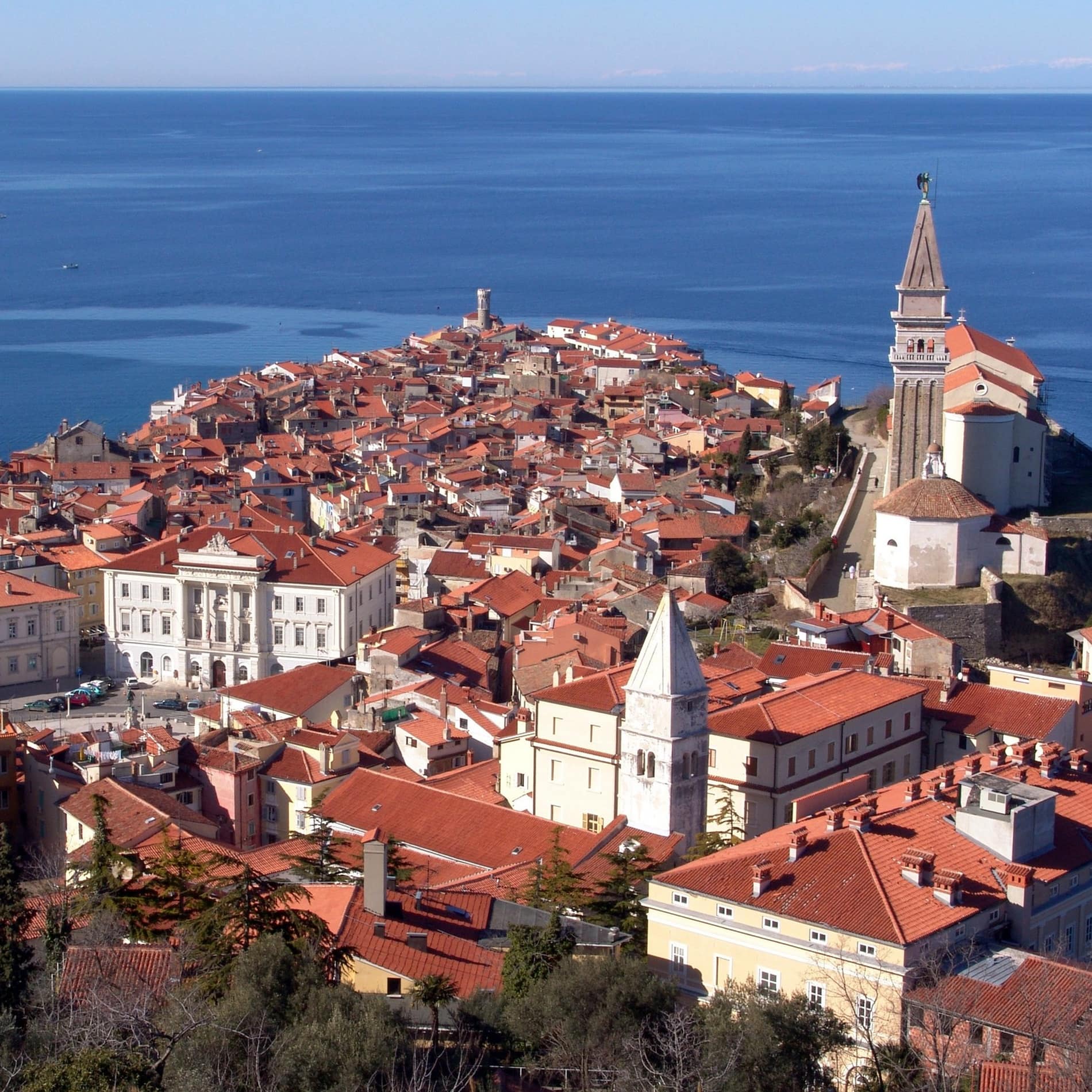 Die Altstadt von Piran bildet mit ihren roten Dächern einen reizvollen farblichen Kontrast zur tiefblauen Adria