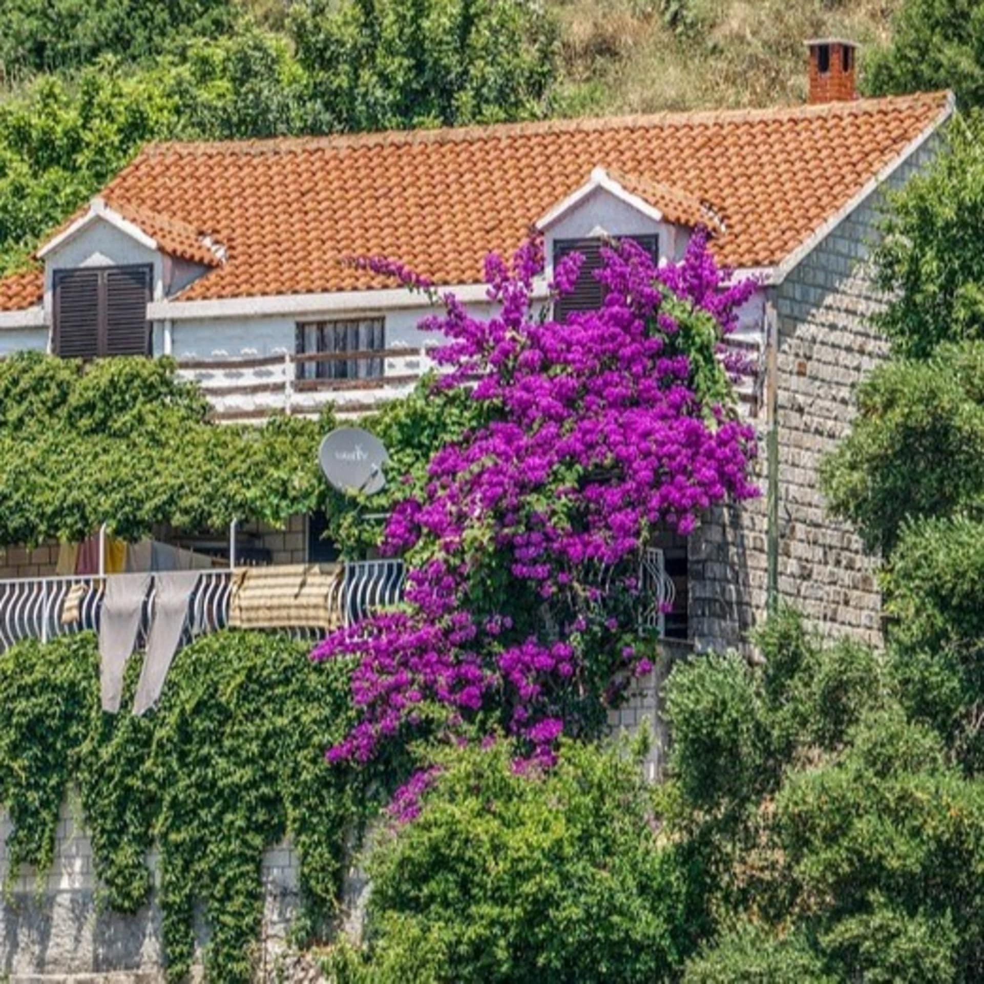 Ein frei stehendes Ferienhaus in Kroatien umgeben von Büschen