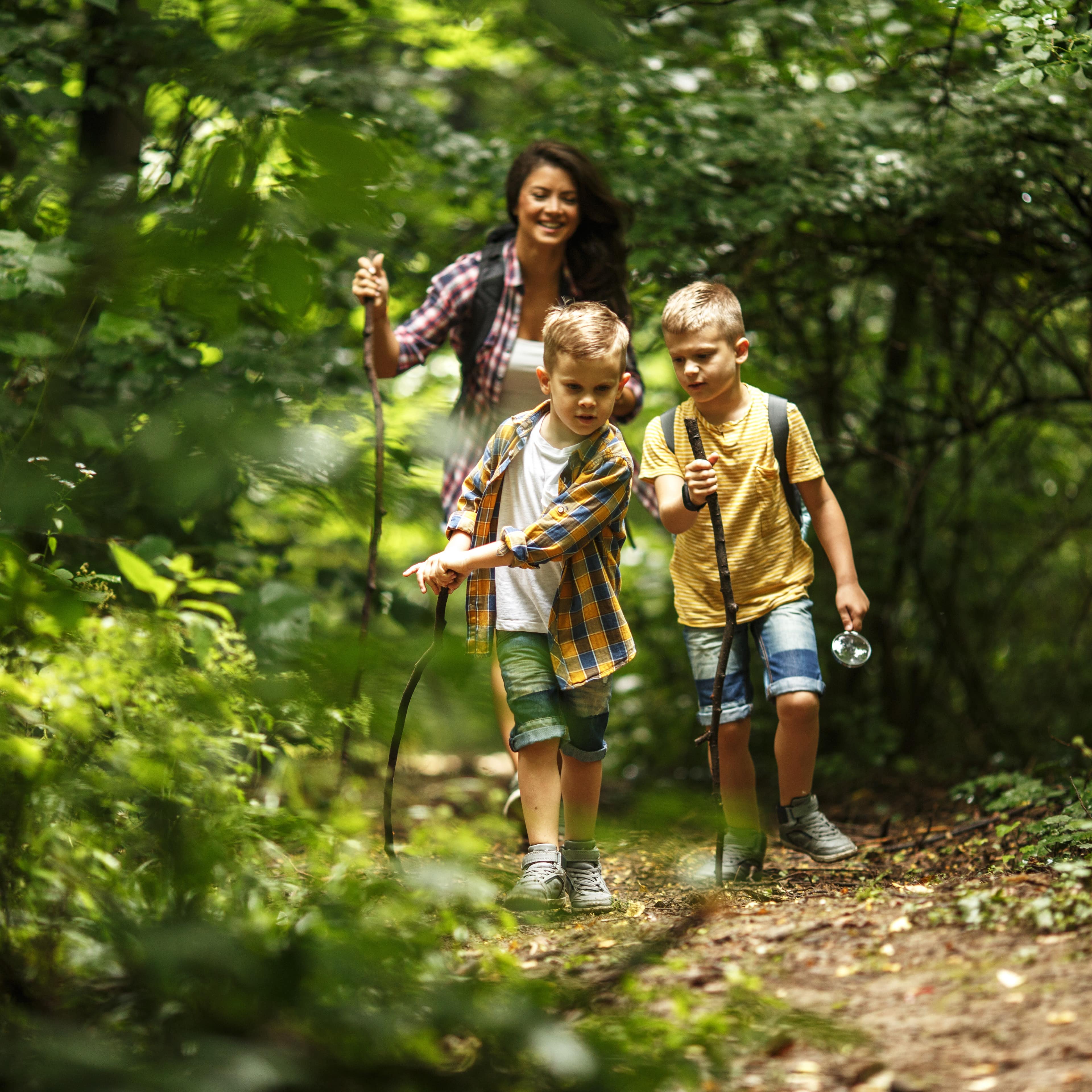Mutter und 2 Jungen, alle mit Wanderstöcken, wandern im Wald.