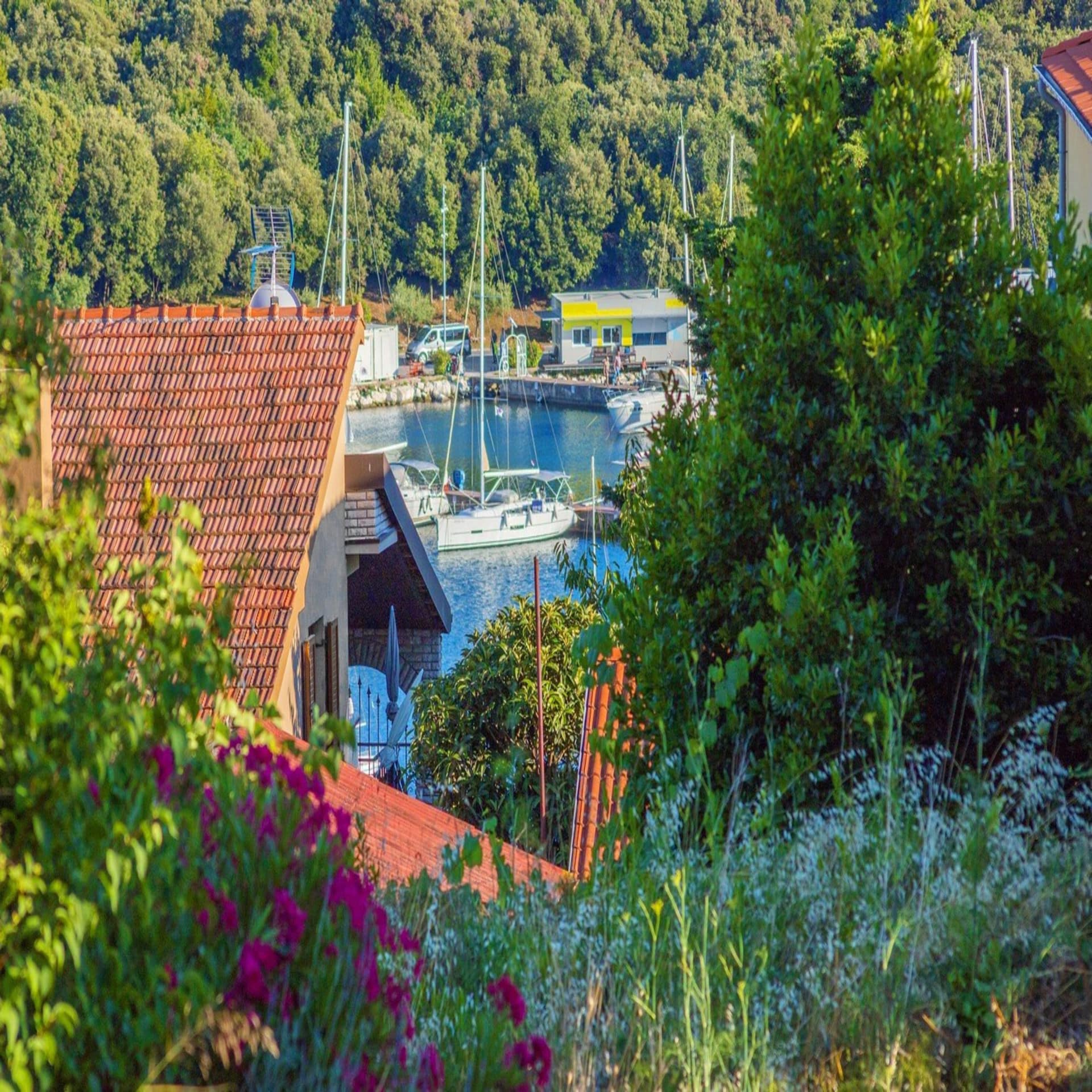 Blick zwischen Häuschen und Bäumen auf einen kleinen Hafen in Istrien. Die Sonne scheint. 