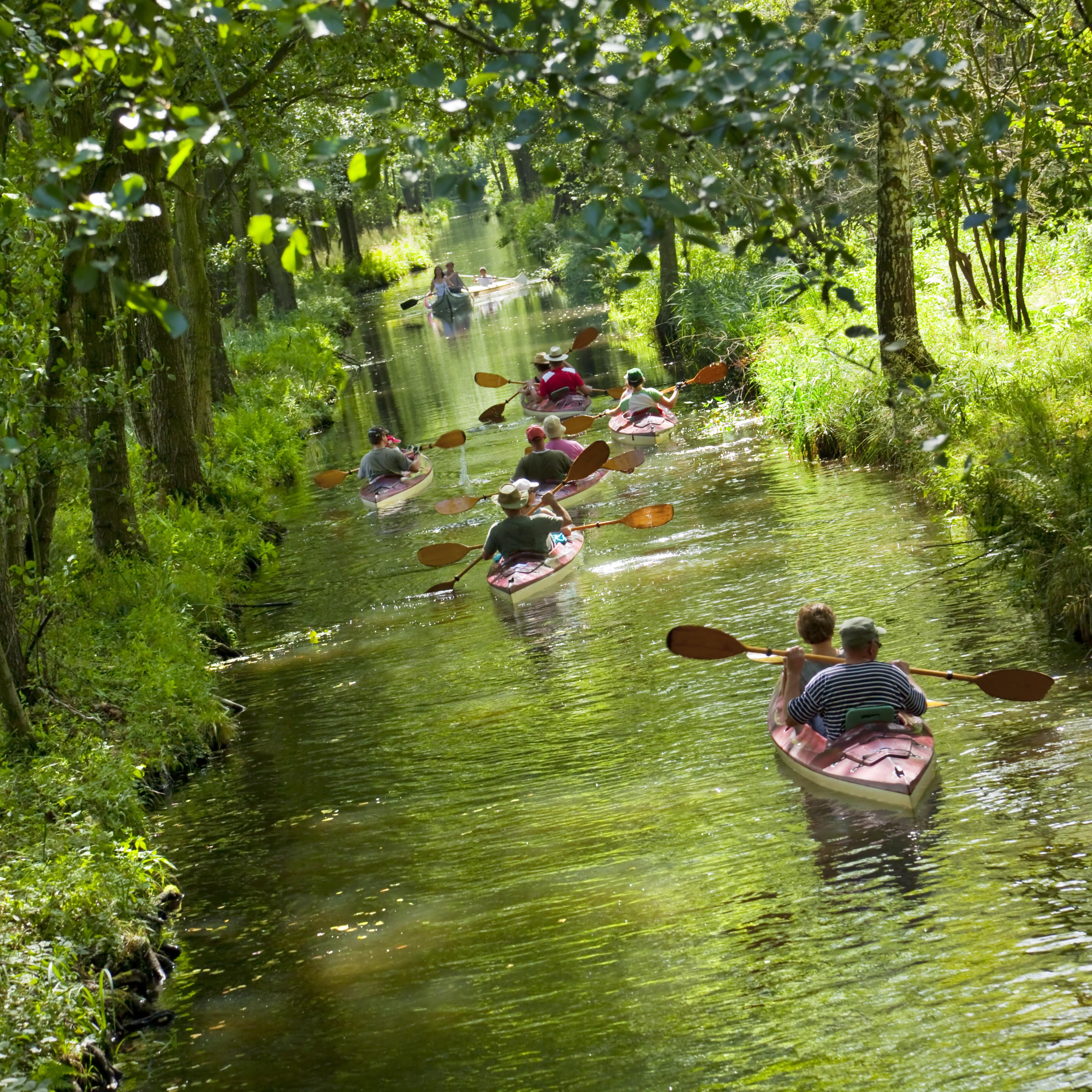 Mehrere Personen in Kanus paddeln einen Wasserlauf im Spreewald entlang.