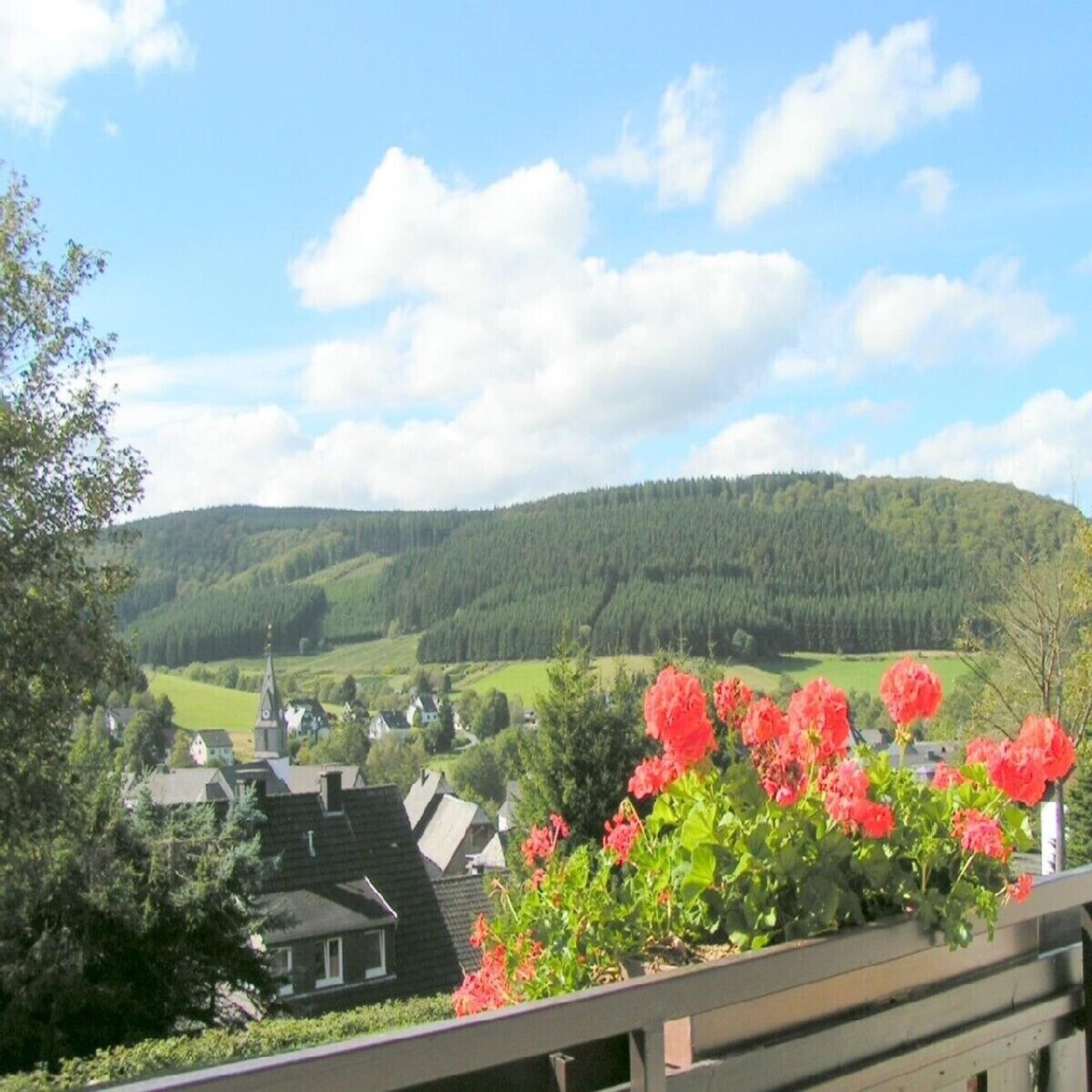 Blick von einem Balkon mit roten Blumen auf die ländliche Umgebung und einige Häuser. 