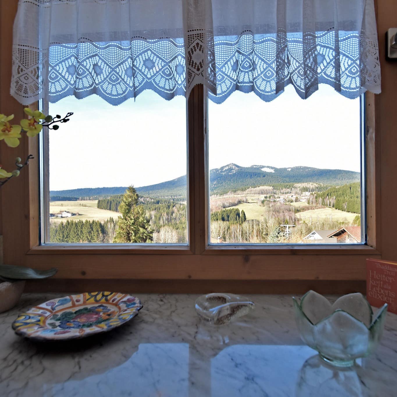 Blick aus dem Fenster einer Ferienwohnung in Bodenmais auf das friedlich anmutende Umland 