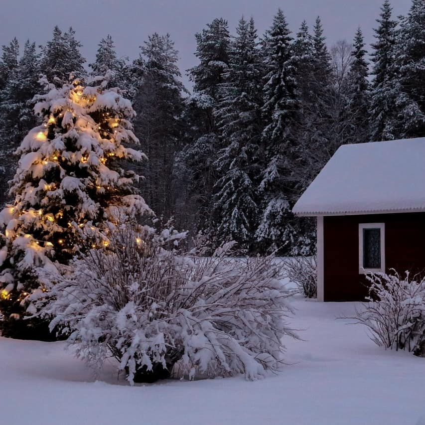 Eine Hütte, daneben ein erleuchteter Weihnachtsbaum mit Schnee auf den Ästen während der Dämmerung