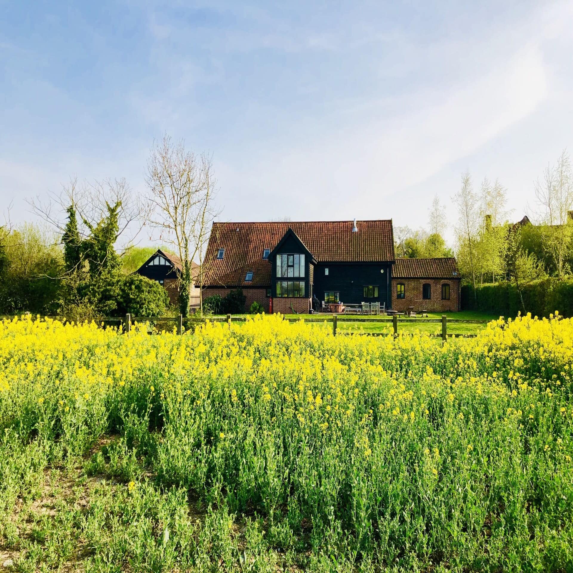 Eine gelbe Blumenwiese, dahinter ein restauriertes Bauernhaus. 